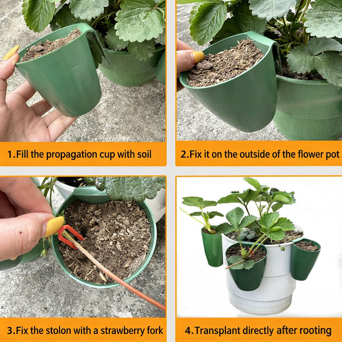 Kangnice Propagation Cup Set Featuring Food Grade and Runner Forks Ideal for Strawberry Runners and Seedling Cultivation Strawberry Fixing Fork