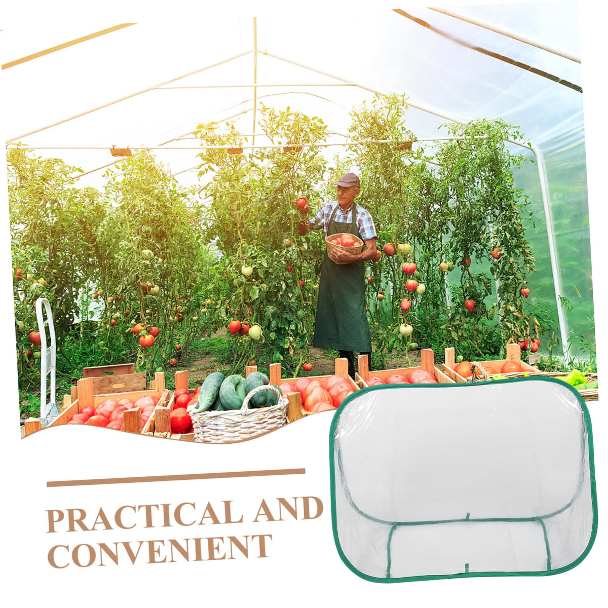 BAZEITFLOW Mini Garden Greenhouse Portable Foldable Plant Care Tent for and Small Plants Design for Spaces Weather-Resistant Growth Chamber for Use