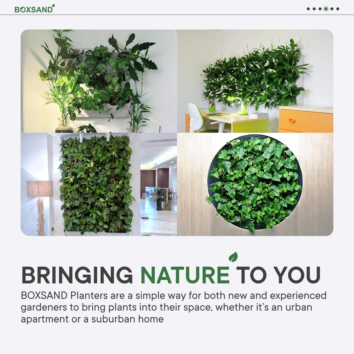 BOXSAND-12 Vertical Wall Planter (24"x26", Black with Square Pots) – Living Wall for 12 Plants, Indoor/Outdoor Vertical Garden System, Easy 2-Screw Install