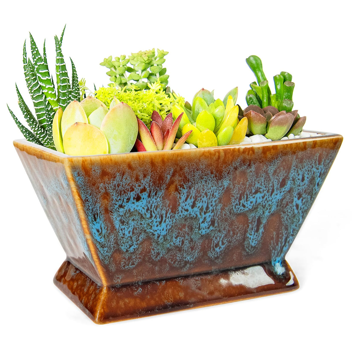 ARTKETTY Succulent Pots - 7 Inch Large Plant Pot with Drainage, Shallow Ceramic Succulent Planters for Indoor Outdoor Plants, Modern Cactus Bonsai Plant Container Decorative Home Office