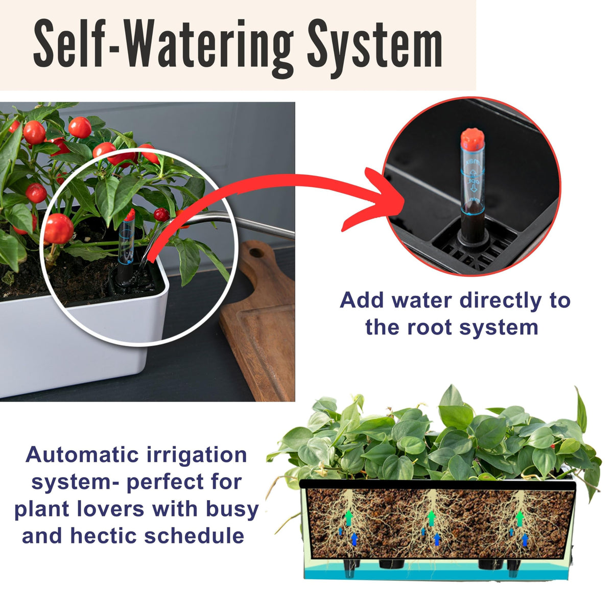 LaLaGreen Bundle- 2 Pack, 16 Inch Rectangular Self Watering Planter + 2 Pack, 16 Inch Hanging Metal Wire Basket with Coco Liner Modern Wall Flower Plant Herb Holder Porch Balcony Windowsill Box Indoor
