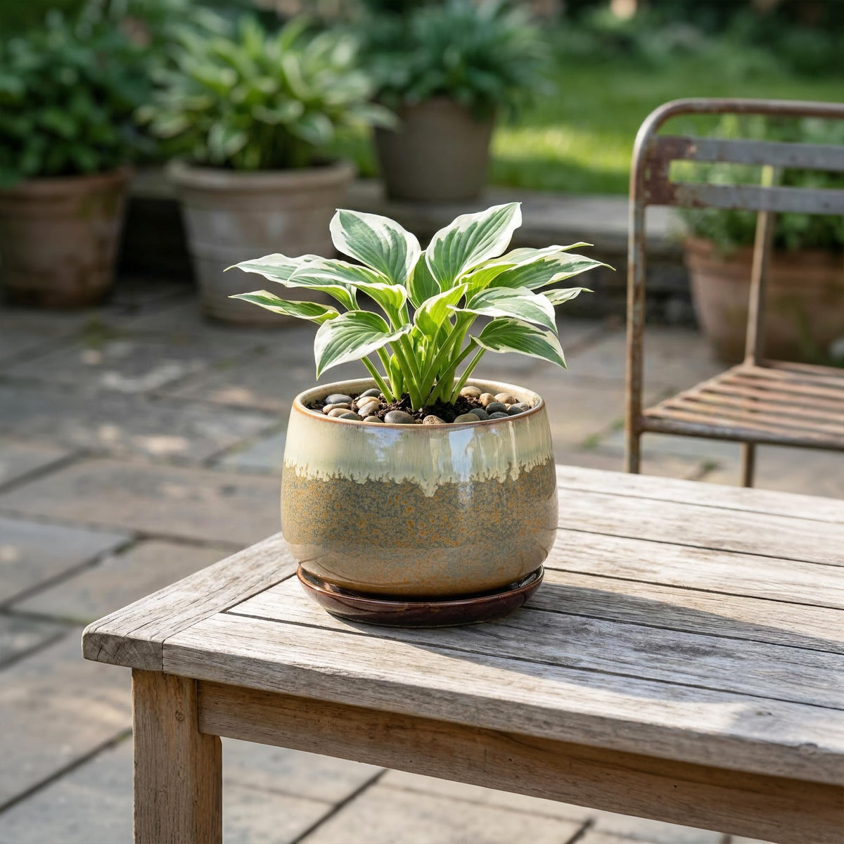Fivepot Ceramic Pots for Plants - 6 Inch Plant Pot Indoor with Drainage and Saucer, Round Planters for Succulent Snake Plants, Decorative Flower Pot, Home Decor, Plant Lover Gifts, Brown-Beige