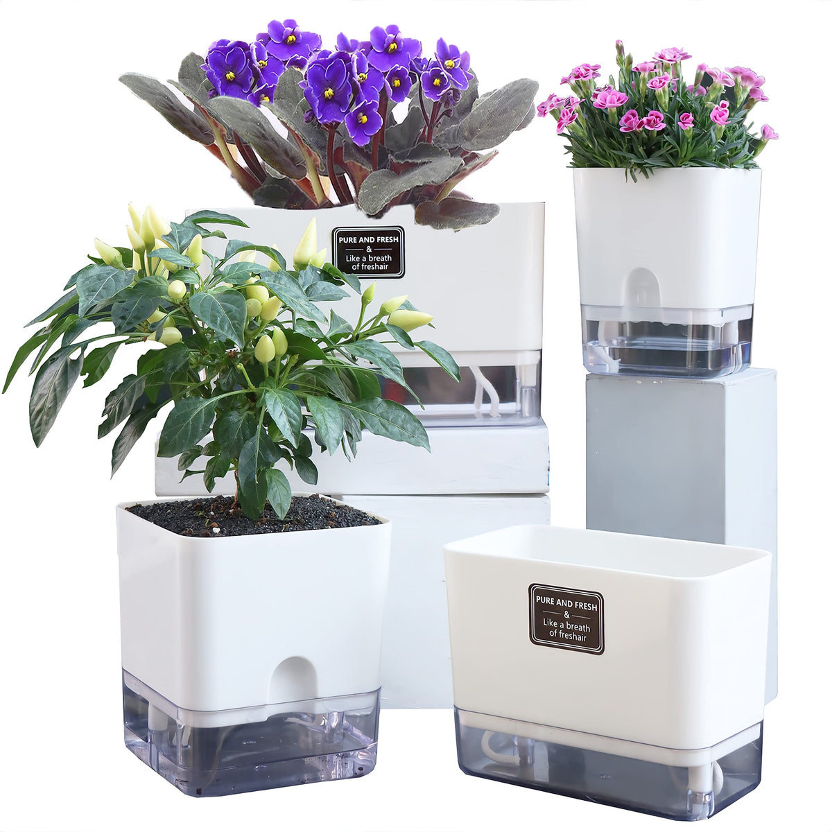 FAMZ Self Watering Planters 4 Pack，Self Watering Pots for Indoor Plants，Automatic Moisturizing，Transparent Square Flower Pot for Indoor and Outdoor Plants，Succulents，Violets，Ivy