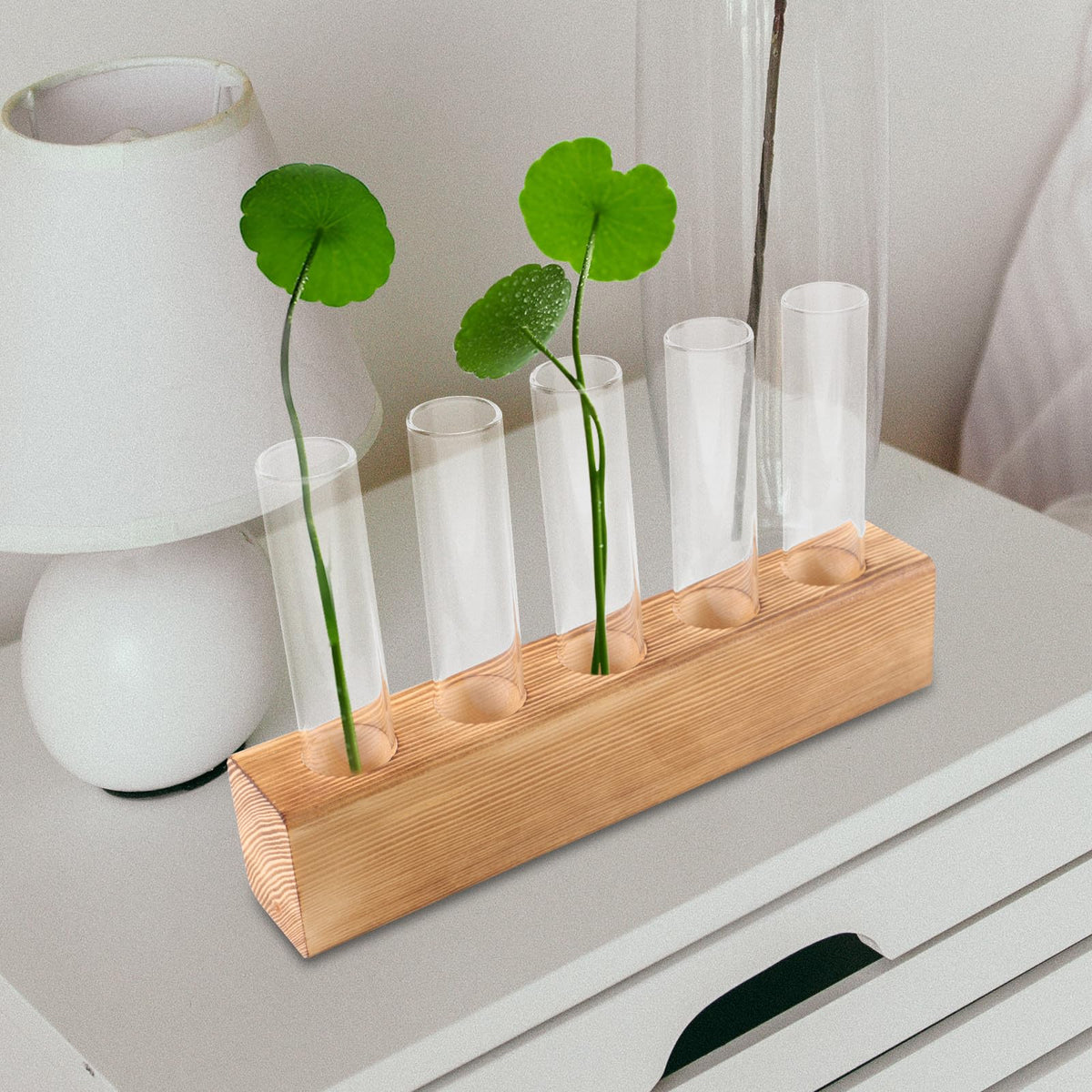 HEANUJJ Glass Planter Terrarium with 5-Hole Wooden Stand Hydroponic Vase for Indoor Plants Desktop Propagation Station Tabletop Water Planter