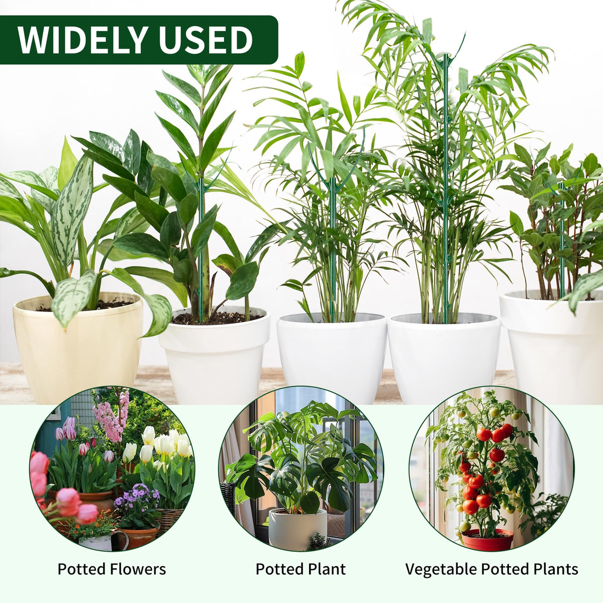 10 Pack Stackable Plant Support Stakes - Climbing Support for Indoor & Outdoor Use - Garden Accessories for Monstera, Pothos, Philodendron - Aesthetic Alternative to Moss Poles & Trellises