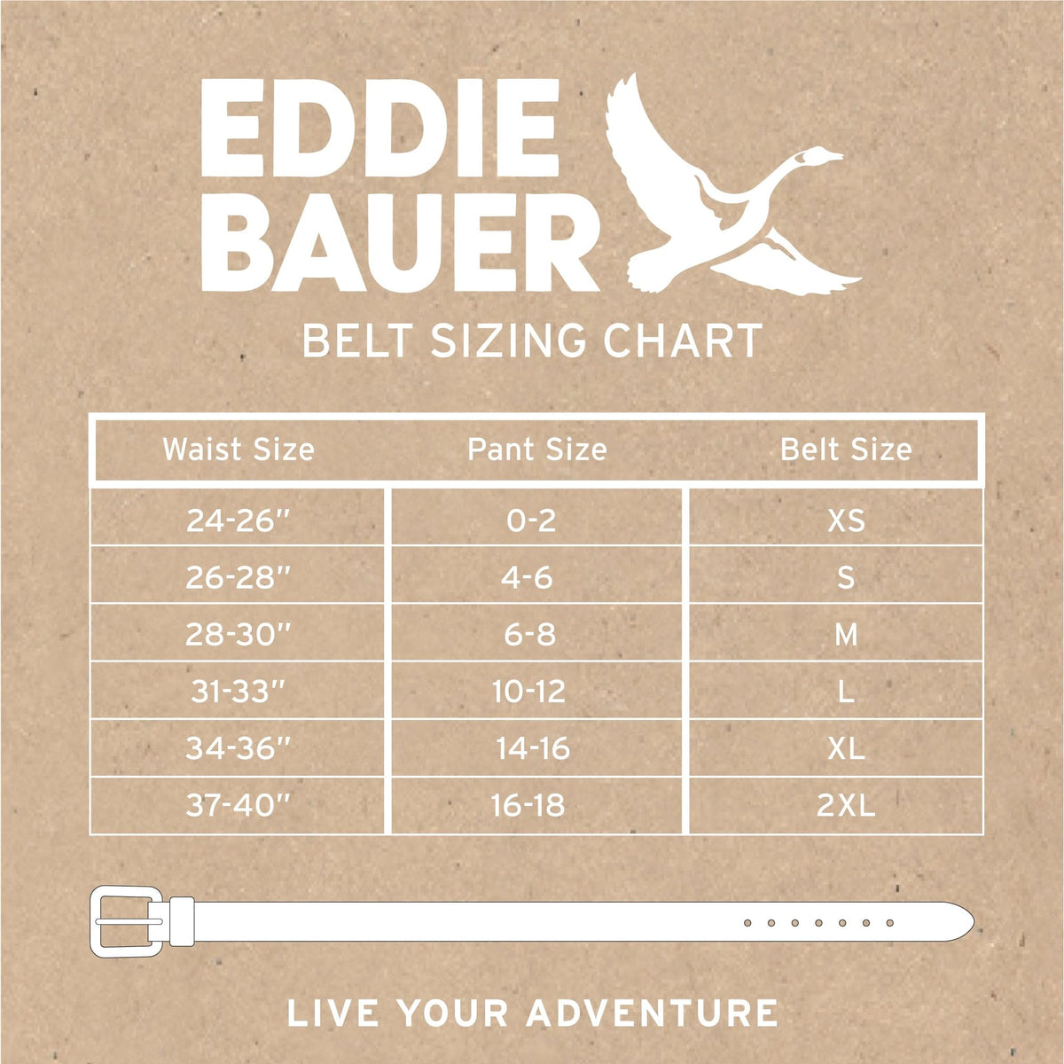Eddie Bauer Women's Casual Leather Belts with Durable Metal Buckle, Endless Leather - Black, XX-Large