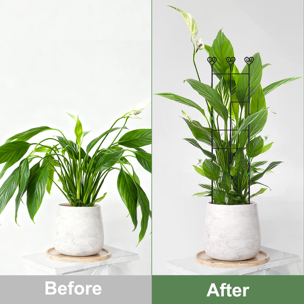 Coomin 2 Pack 32in Monstera Plant Support Stakes for Indoor Plants, Stackable Garden Trellis for Climbing Plants Outdoor, Metal Plant Climber Support for Pothos Philodendron Vine