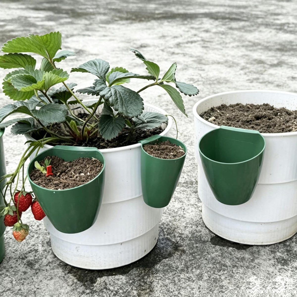 Strawberry Propagation Planter, Yard Seedling Cups, 3.35x2.36in Nursery Pots with Secure Runner Forks, Root Development Container, Botanical Starting Cup with Bottom Drainage Design, Indoor Outdoor