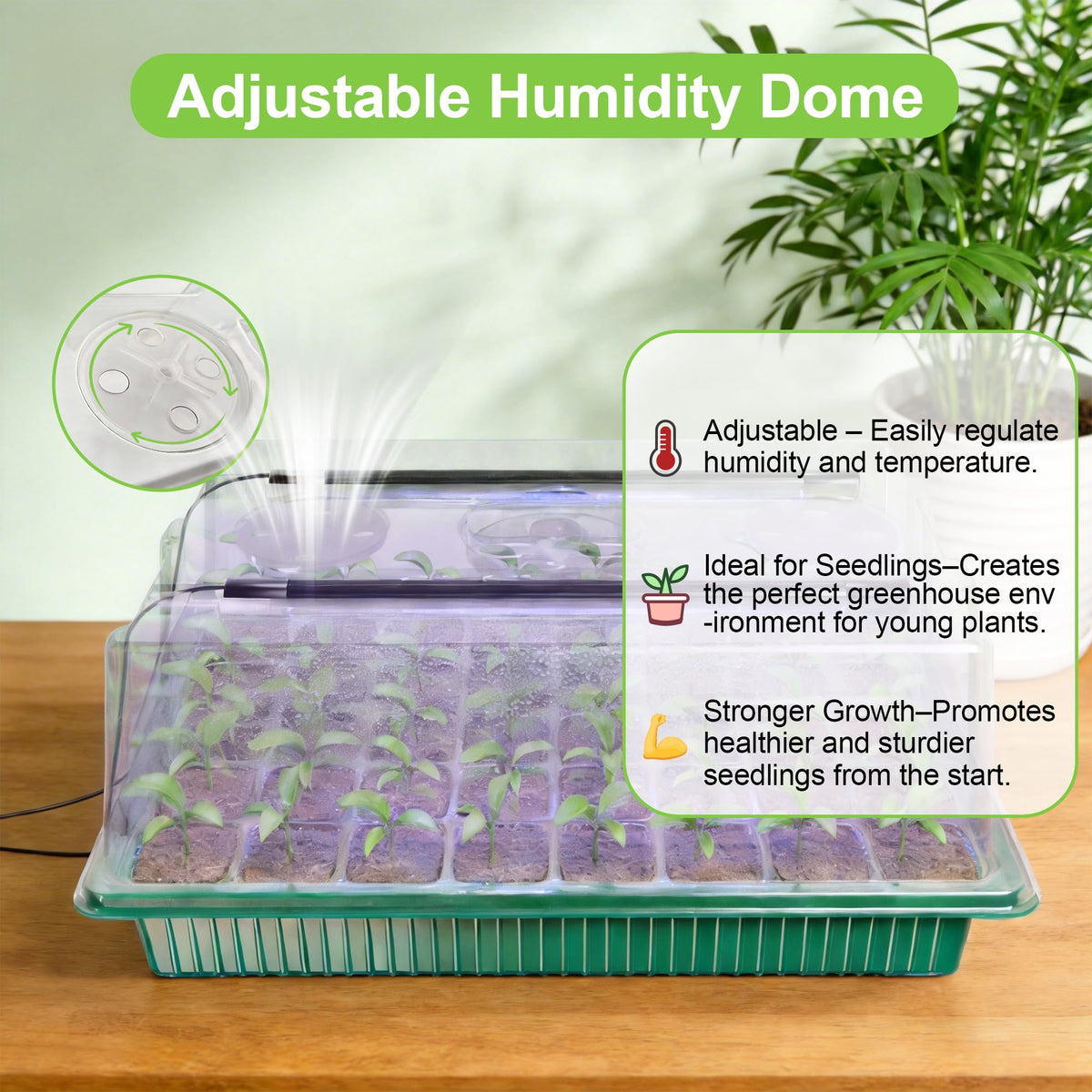AWUREYIT Seed Starter Tray with Grow Light, 2 Pack 80 Cells Seed Starter Kit, Complete System with Humidity Dome, Full Spectrum LED, Dimmable Timer for Indoor Gardening & Seedlings