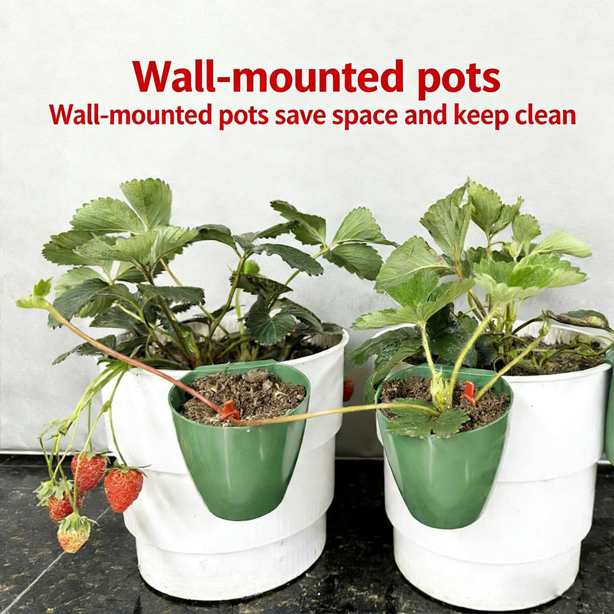 ordinarYone Breathable Strawberry Propagation Cups with Runner Forks for Root Rot and Promote Growth in High Hu