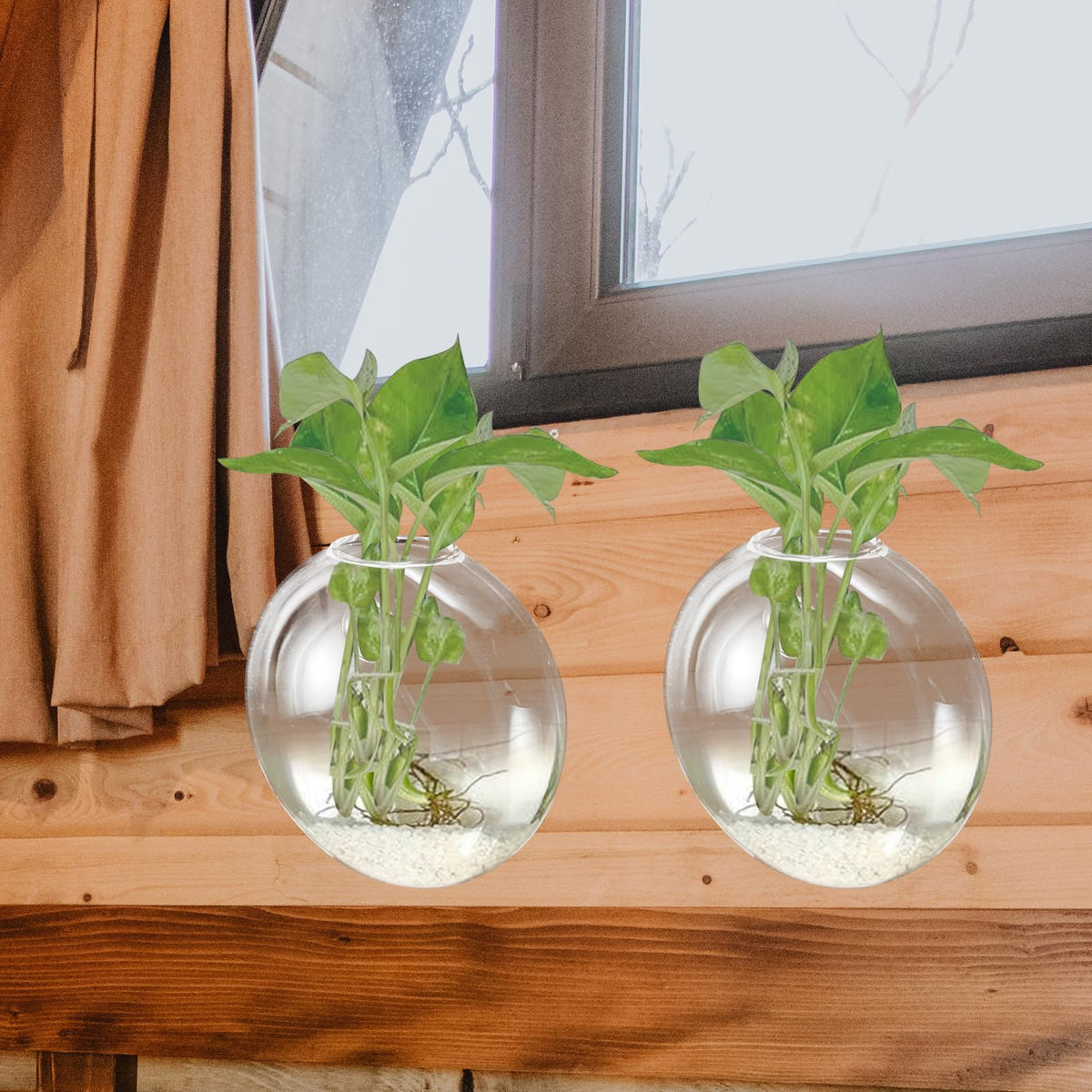 CONGARTENO Wall Mounted Hydroponic Planter Glass Vase, Small Hanging Terrarium Vase for Indoor Plant Propagation, Decorative Wall Pot for Home Décor