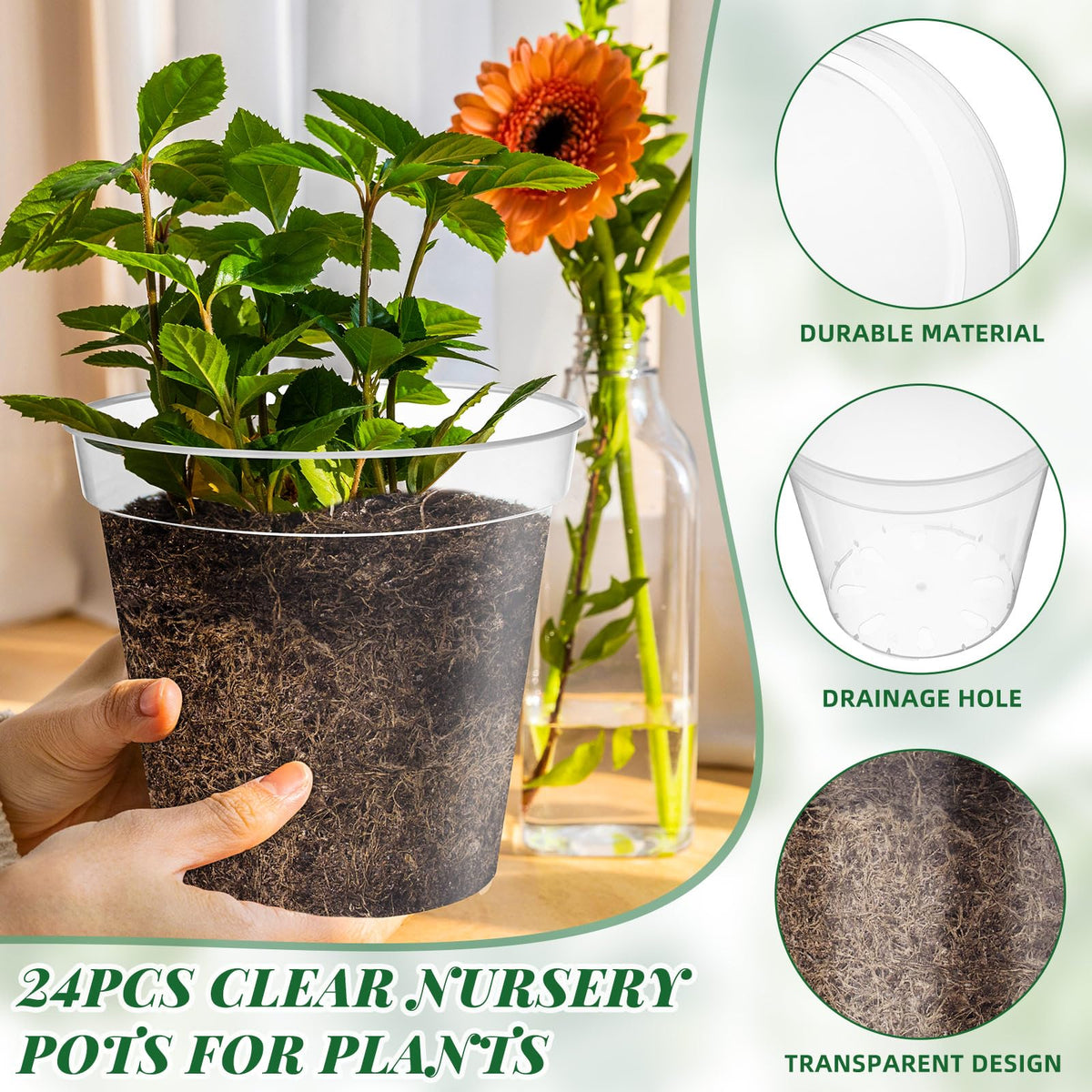 Maxcheck 24 Pcs Clear Nursery Pots with Drainage Holes Pack, Large Transparent Plastic Orchid Pots for Repotting Indoor Plants, Heavy Duty Planter for Monstera, Aroids, Root Observation (8 Inch)