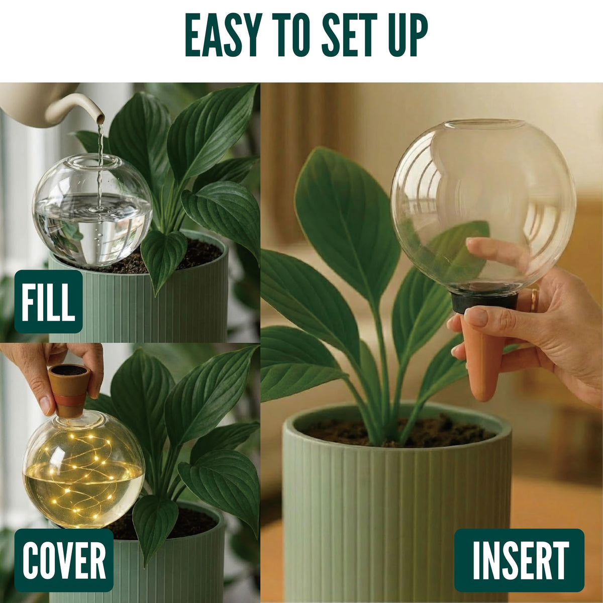 19 oz Extra Large Plant Self Watering Globes Top Fill, LED Night Light Classic Globe Plastic Water Bulbs, Automatic Plant Waterer for Indoor Outdoor Houseplants, Slow Release Planter Insert, 2 Pack