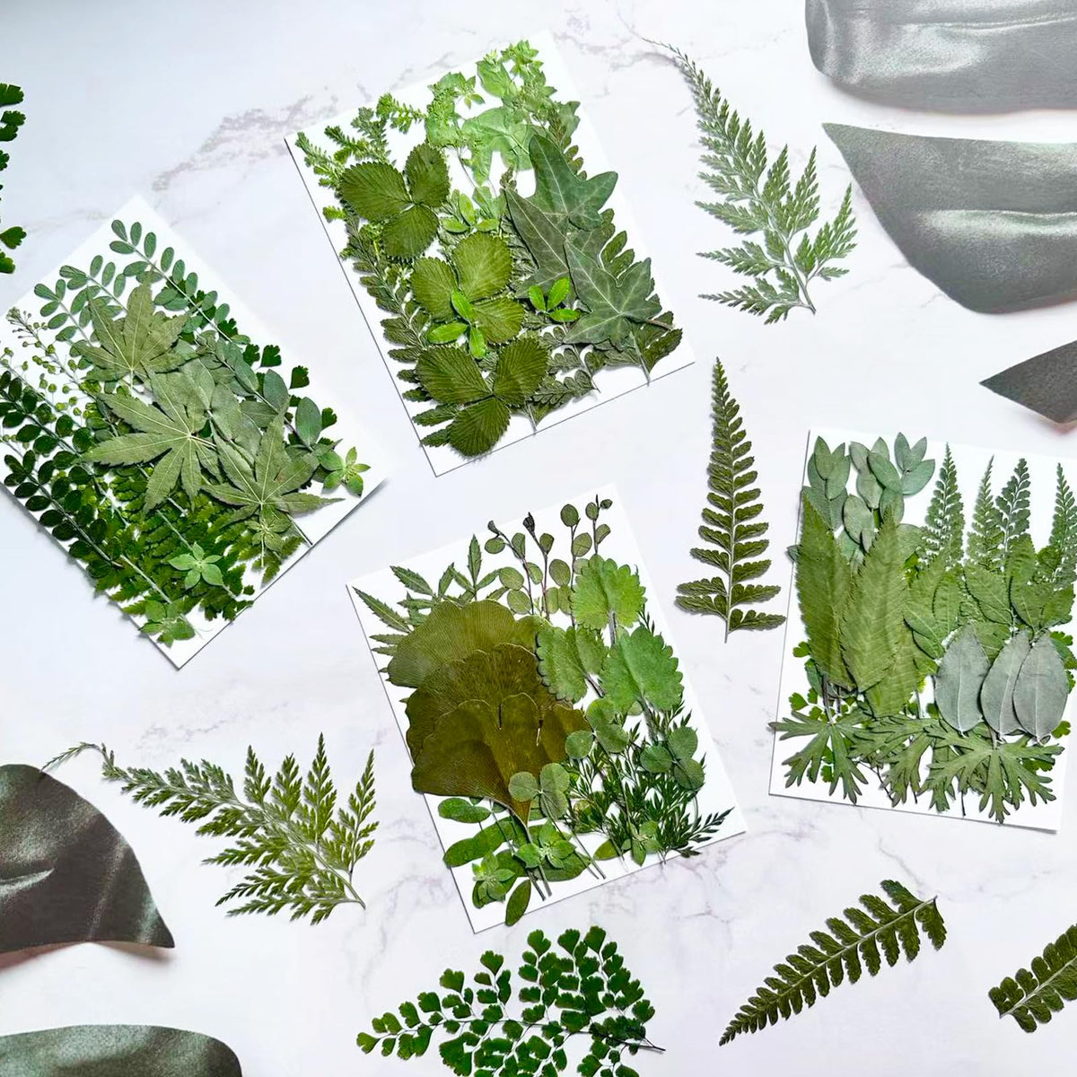 LUCISKY 136Pcs Pressed Dried Leaves and Butterfly for Resin Molds, Real Natural Flowers Stickers for DIY Art Crafts, Jewelry, Candle, Soap Crafts Making