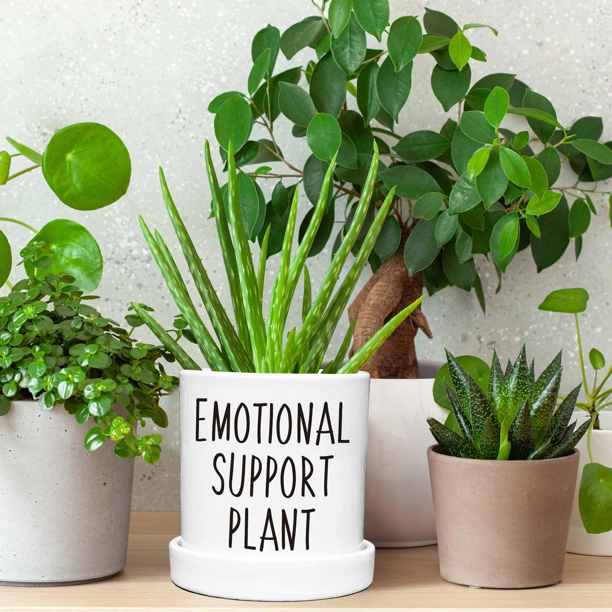 Lzracotz 4.3 inch Ceramic Emotional Support Plant Pot, Funny Succulent Pots, Cute Cactus Planters with Drainage Hole, Funny Plant Pot Emotional Support Cactus