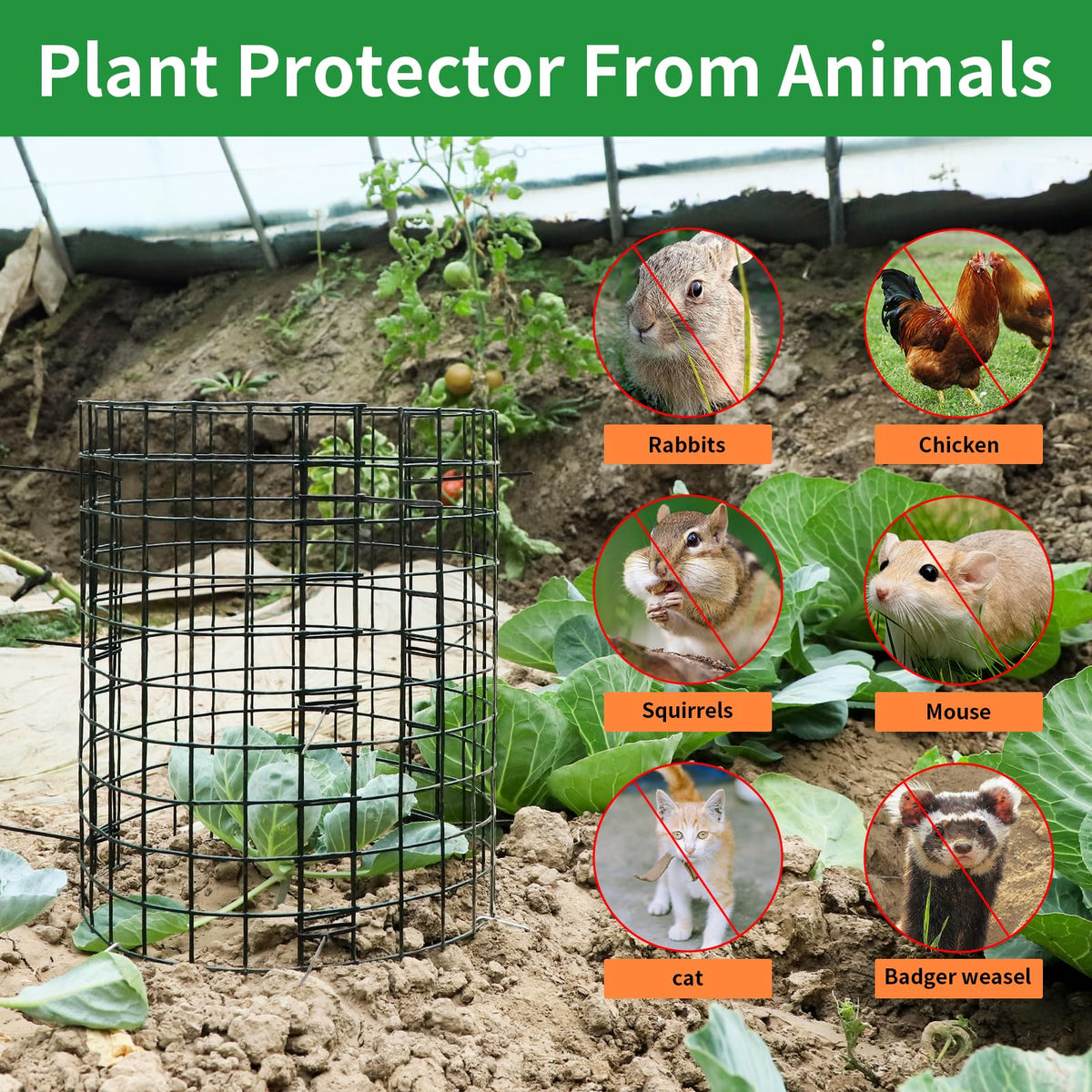 LAPEQQIOJEJ 5 Pack Plant Protector from Animals, 24x12 Inches Wire Plant Protector, Plant Cages to Keep Animals Out