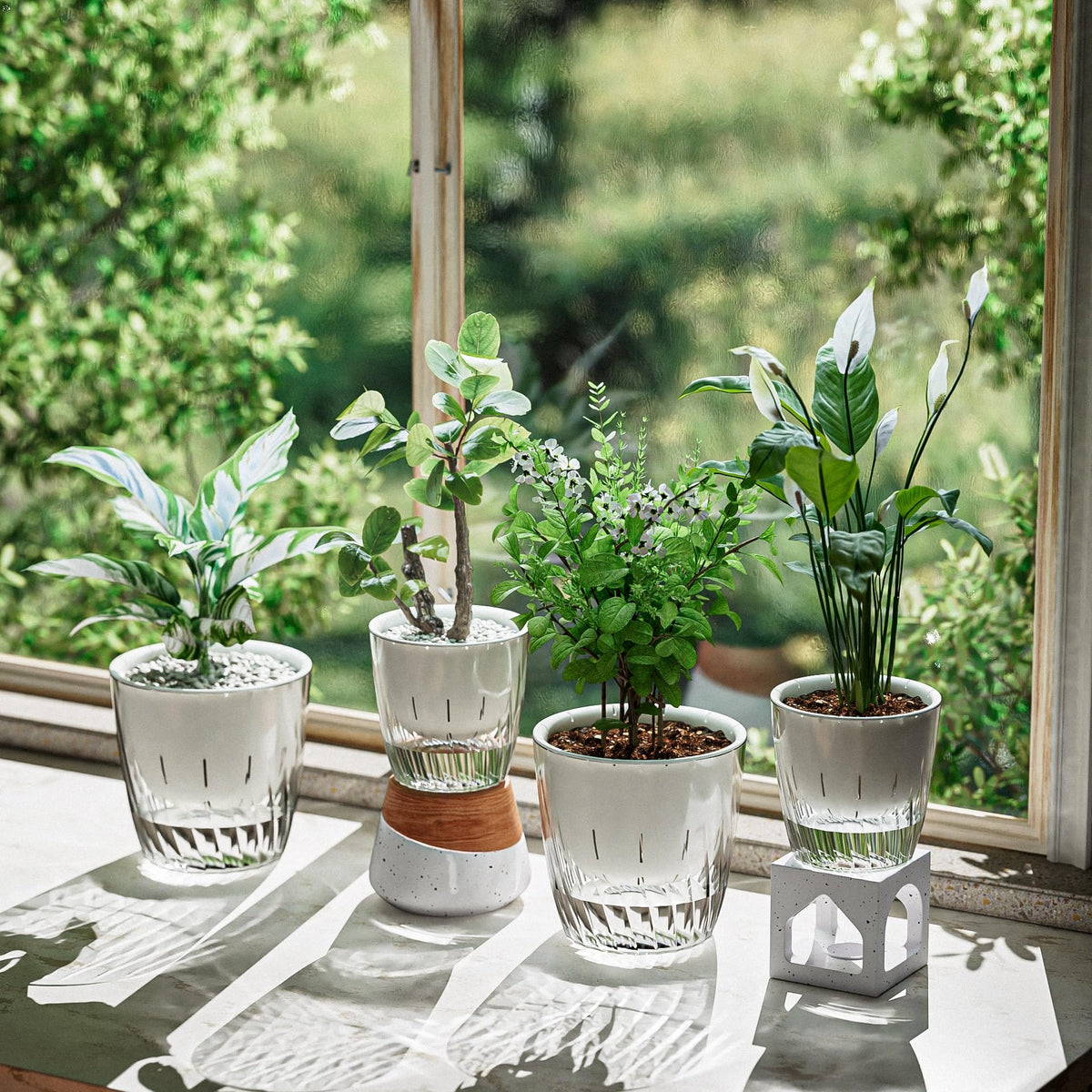 Etvski Self Watering Planters - 2 Pack, 6 Inch Transparent Flower Pots for Indoor Plants, Perfect for African Violet, Monstera, Succulents, Herbs & Decorative Flowers