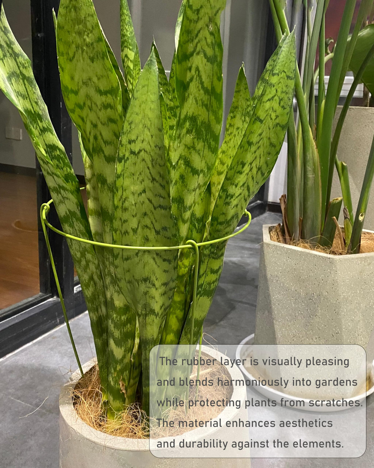 3 Pack Plant Support Stakes, Adjustable Plant Ring Cages with Green Rubber Wrapping, Ideal for Orchids, Indoor and Outdoor Potted Plants, 10" Wide x 17" High