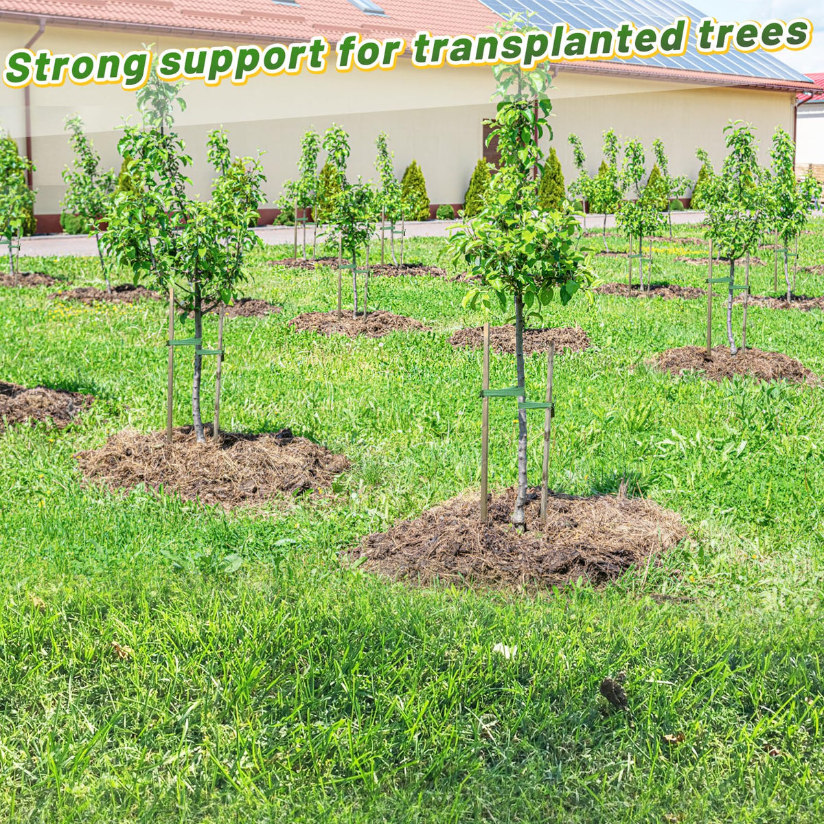 2,425 Lbs Strength Tree Straps - 216FT Tree Tie Support Straps for Staking, Green Blend in with Landscaping for Guying Young Trees Straight and Storm Protection, for Outdoor Plants, 1" Wide