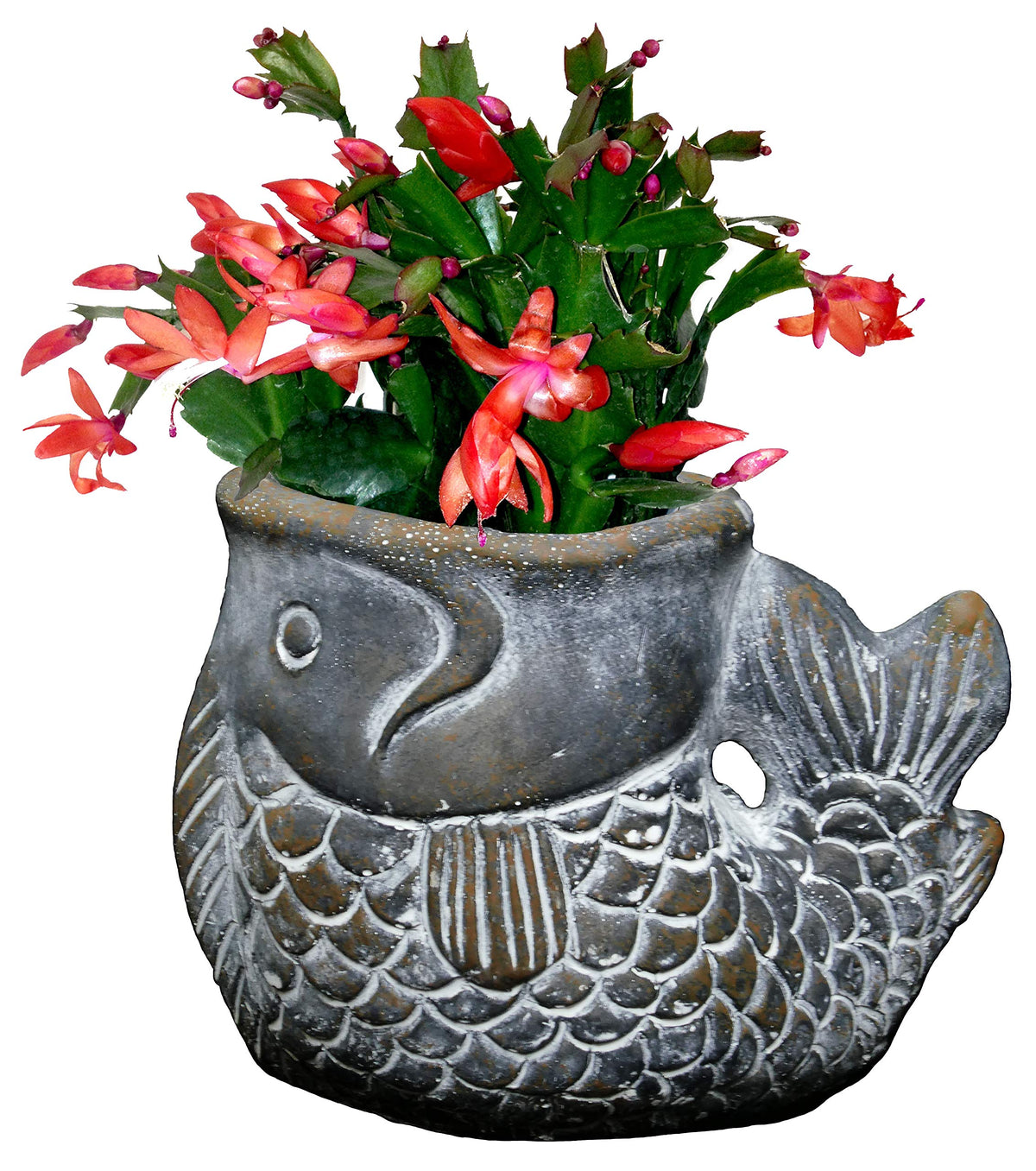 Classic Home and Garden Cement Buddies Animal Planter - Cute Desk Decoration - UV Coated Animal Vase w/Removable Drain Plug -Succulent Planter for Indoor/Outdoor Use (Largemouth Bass, Bronze, Small)