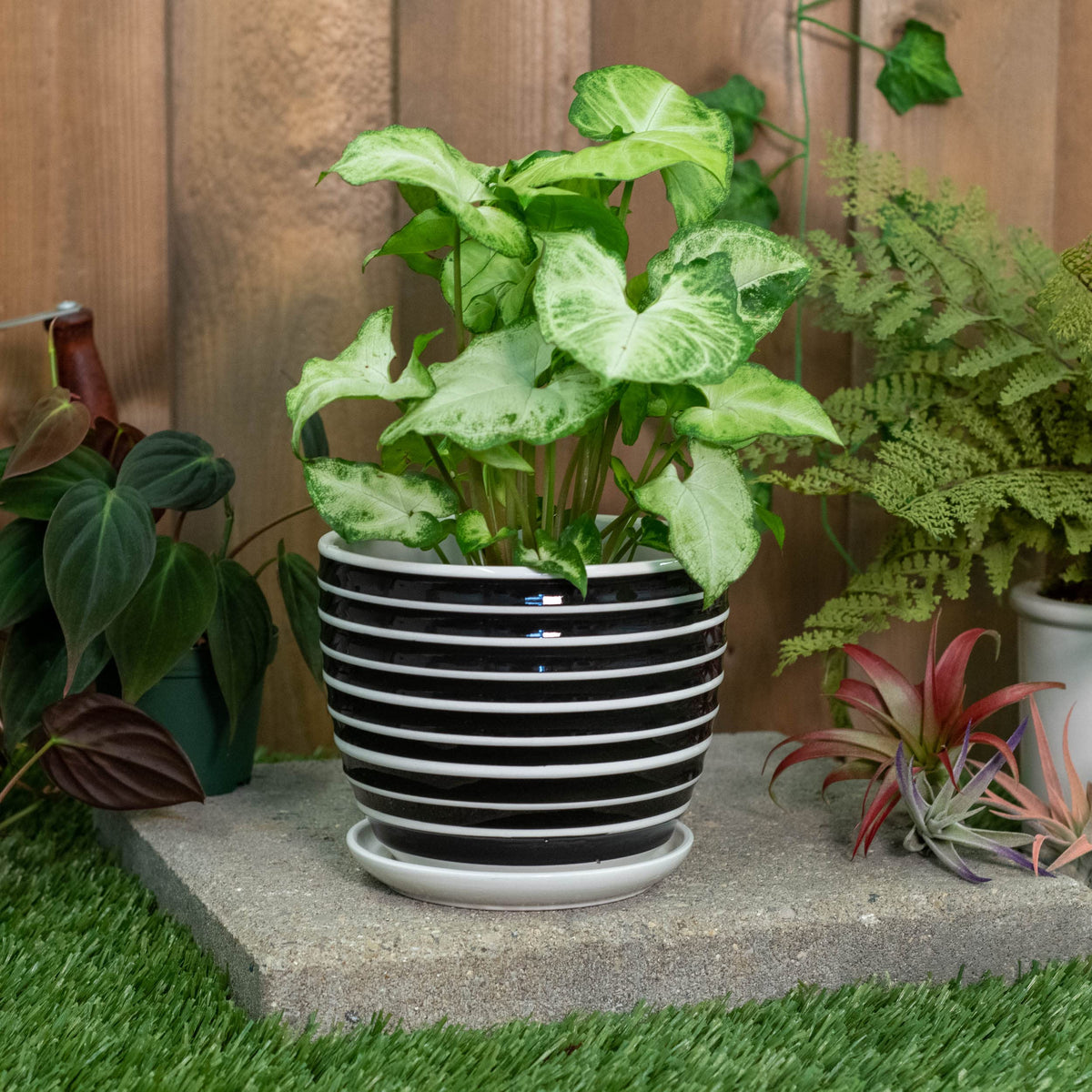 Napco Striped Black and White Ribbed 4 x 5 Inch Ceramic Flower Pot Planter with Saucer