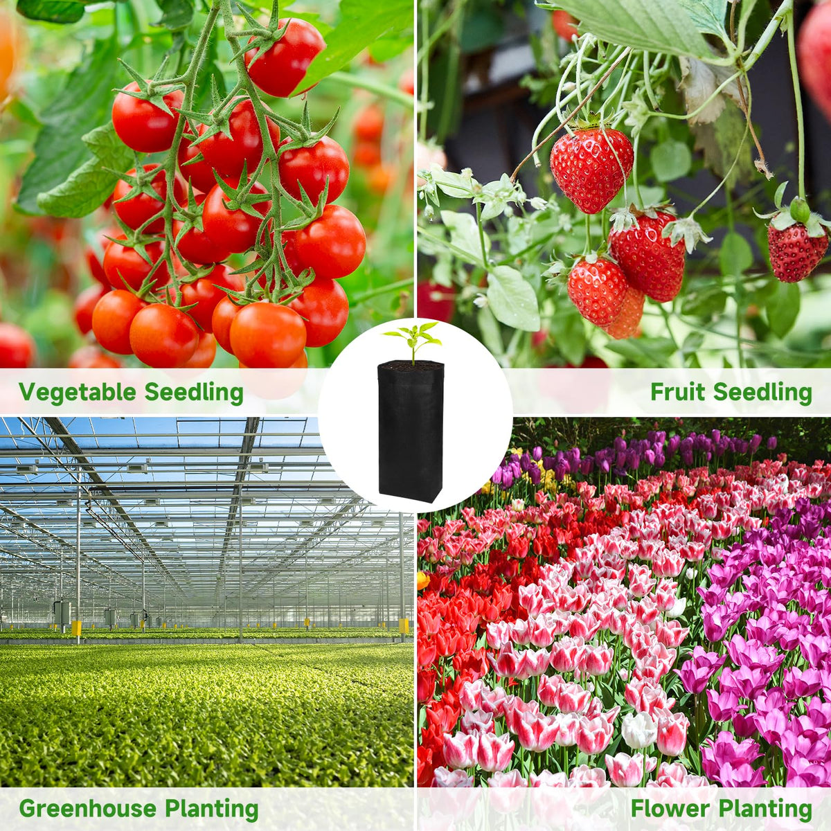 200PCS Nursery Bags 13.5" H Plant Grow Bags Black Biodegradable Non-Woven Fabric Grow Bags Breathable Fabric Pots Heavy Duty Cloth Pots for Vegetable Flower Seed Starting Plant Grow Soil Transplant