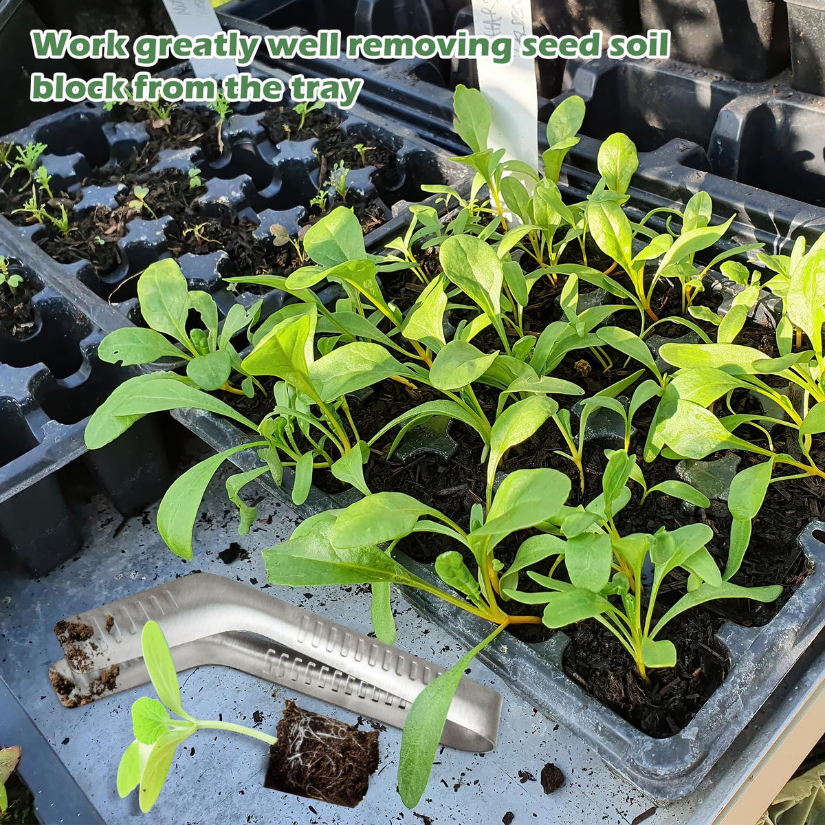 1PCS Seedling Transplant Tongs Stainless Steel Seedling Starters Remove Tongs Seedling Transplanting Tool Seedling Easy Transplanter with Anti-Slip Grasp Tips to Reduce Damage to Roots