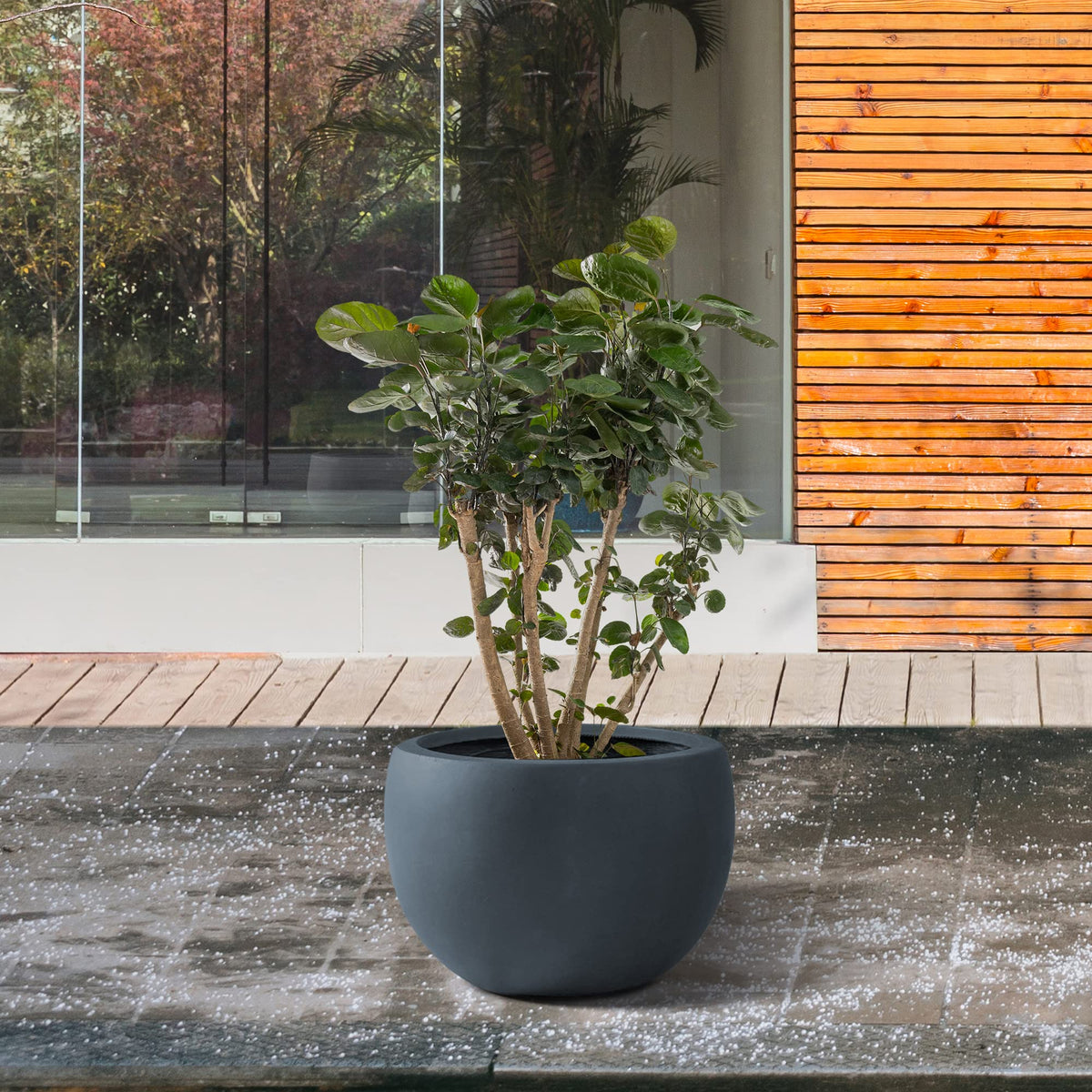 Kante 11.8" Dia Round Concrete Planter, Outdoor/Indoor Large Bowl Plant Pots with Drainage Hole and Rubber Plug for Garden Patio Balcony Home, Charcoal
