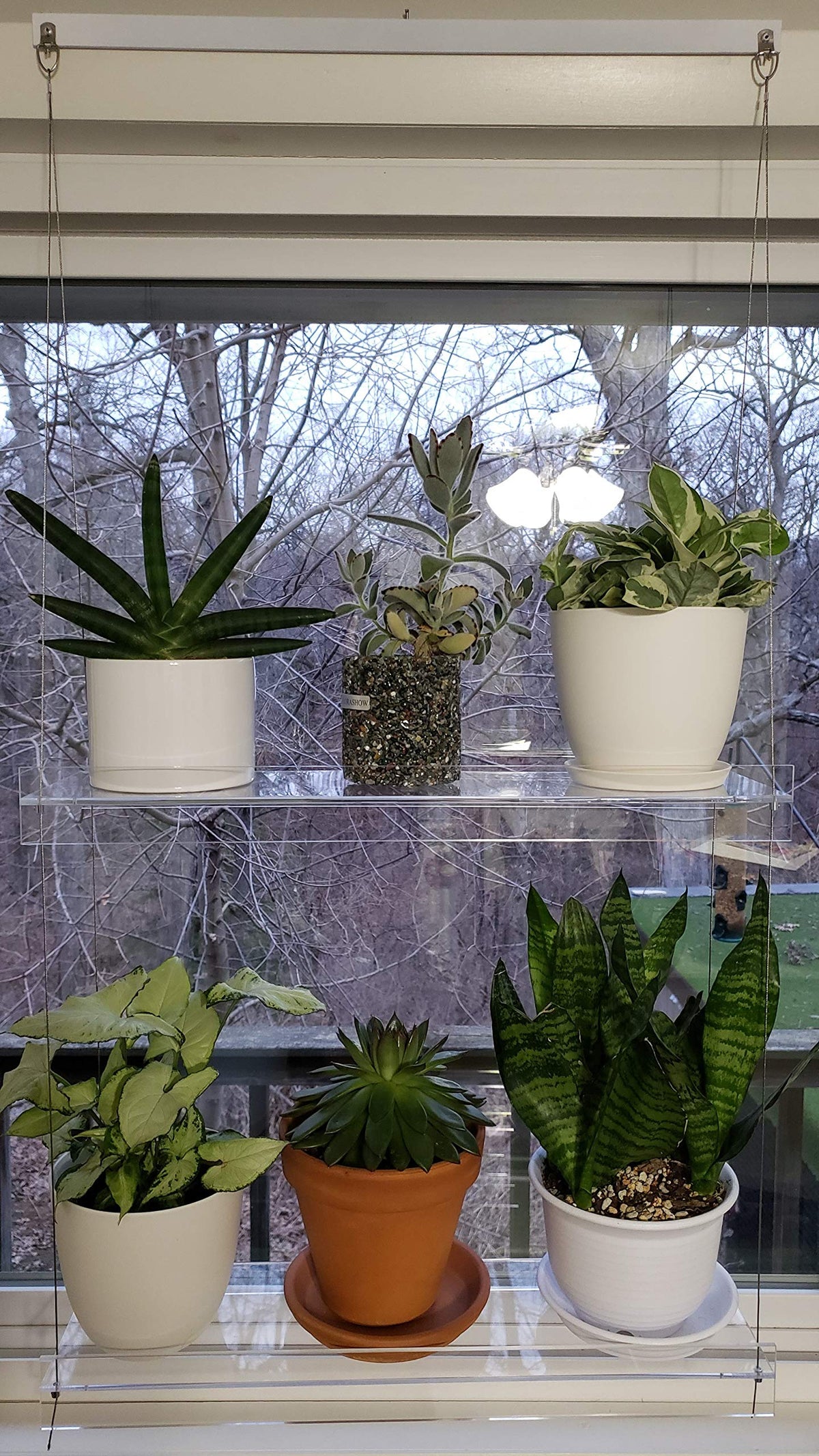 SUPREMETECH Hanging Acrylic Shelves for Windows (28" Wide, 3 Shelves - 46" Tall)