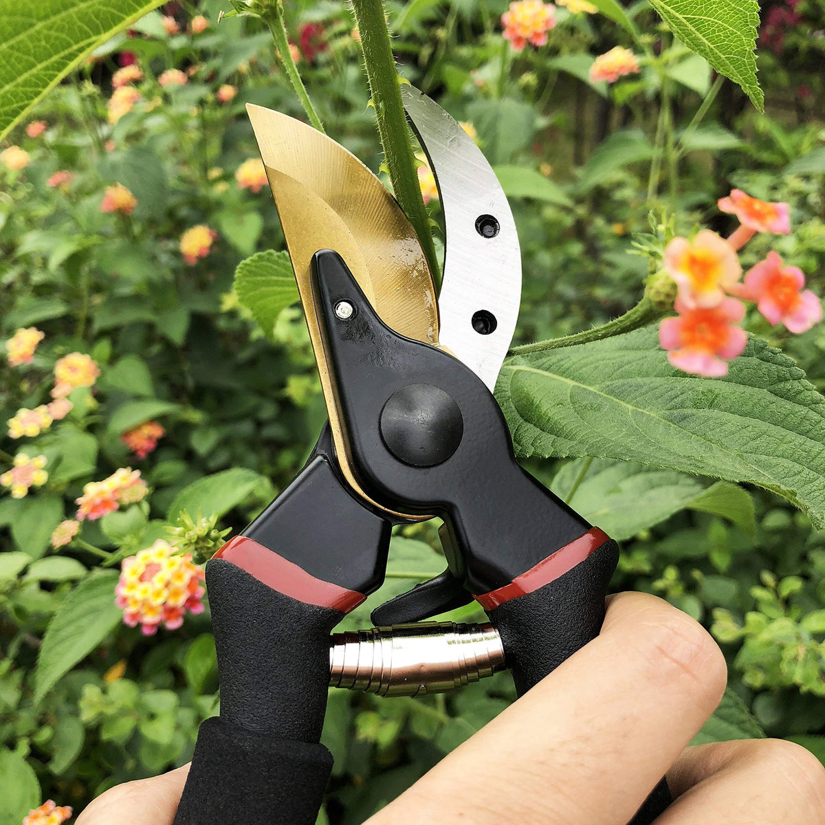 gonicc 8" Professional Premium Titanium Bypass Pruning Shears (GPPS-1003), Hand Pruners, Garden Clippers, Bonsai Cutters