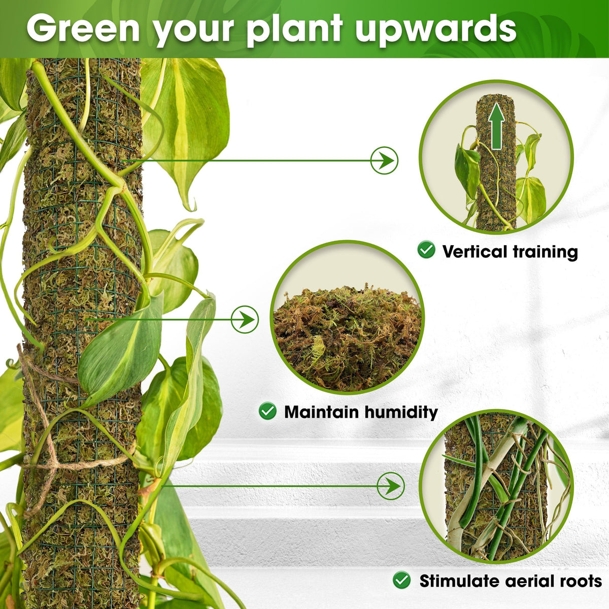 DUSPRO DIY Moss Pole Kit, Metal Moss Pole for Plant Monstera, Pothos, Philodendron, 1pc 8.6’’ x 6.5 ft Wire Moss Pole Mesh with Forest Moss, Cable Zip Ties, Gloves