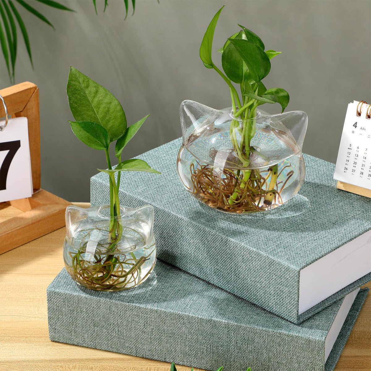 Garneck Cat Shaped Glass Vase Set 2Pcs Hydroponic Plant Vase Desktop Green Plant Terrarium Flower Container Decorative Gift for Home Office