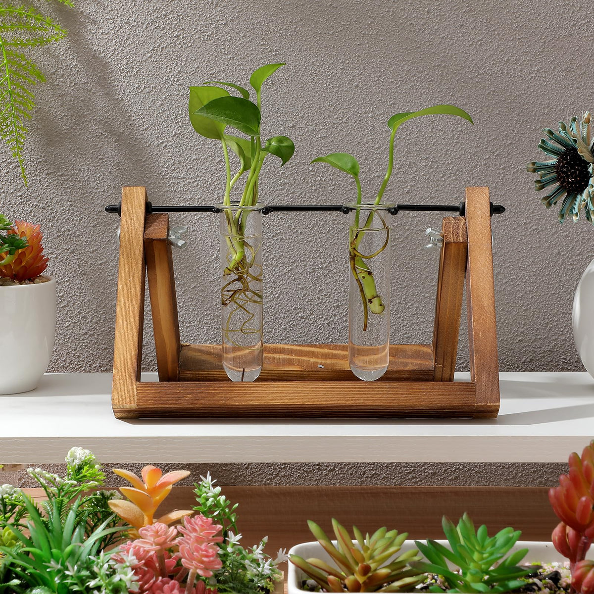 OUNONA 5pcs Glass Test Tube Flower Vases for Plants Propagation Hydroponic Small Terrarium Tubes 2.5x3x11cm for Home Décor