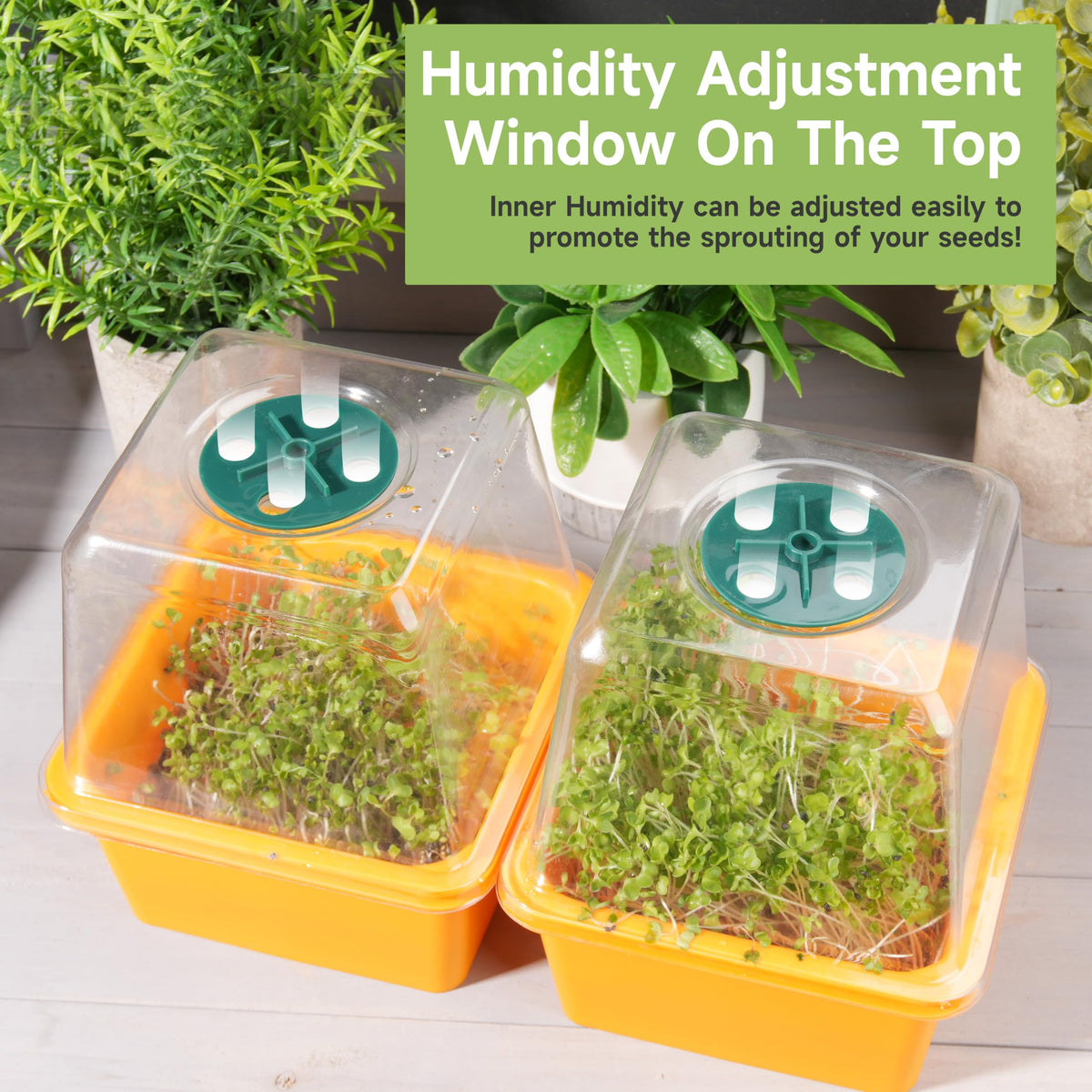Microgreen Growing Trays, 5" x 5" Sprouting Tray with Humidity Dome, 1.2 mm Small Mesh Holes, BPA Free, Sprouter Kit for Growing Mirco Seeds, Like Broccoli, Alfalfa, Radish, Clover - 4 Pack | Colorful