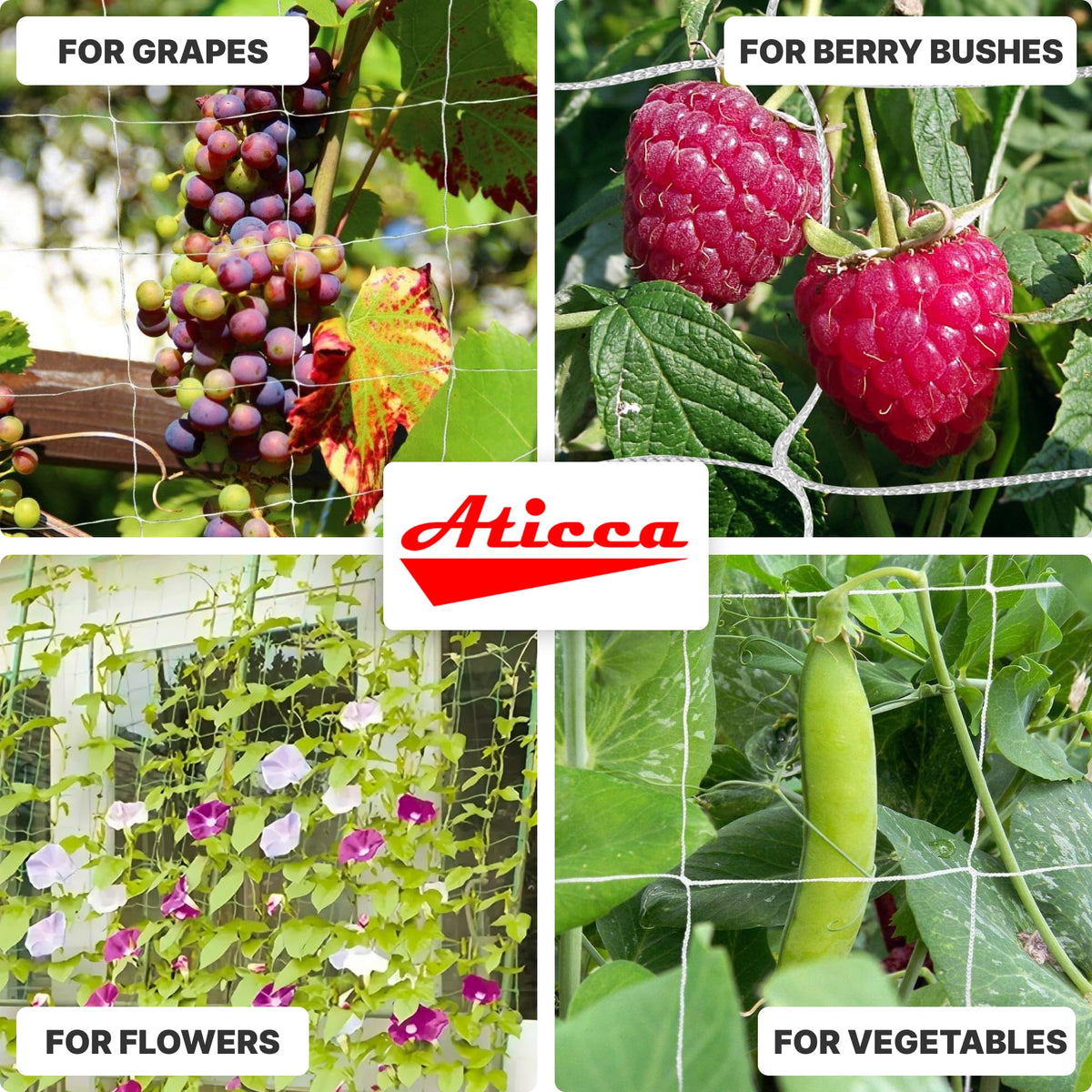 ATICCA Trellis Netting 5 x 750 ft Heavy Duty Polyester Plant Support Netting White - 6 Inch Garden Rope Trellis on Roll - Mesh Twine for Growing Vine Climbing Plants, Flowers, Peas, and Tomatoes.