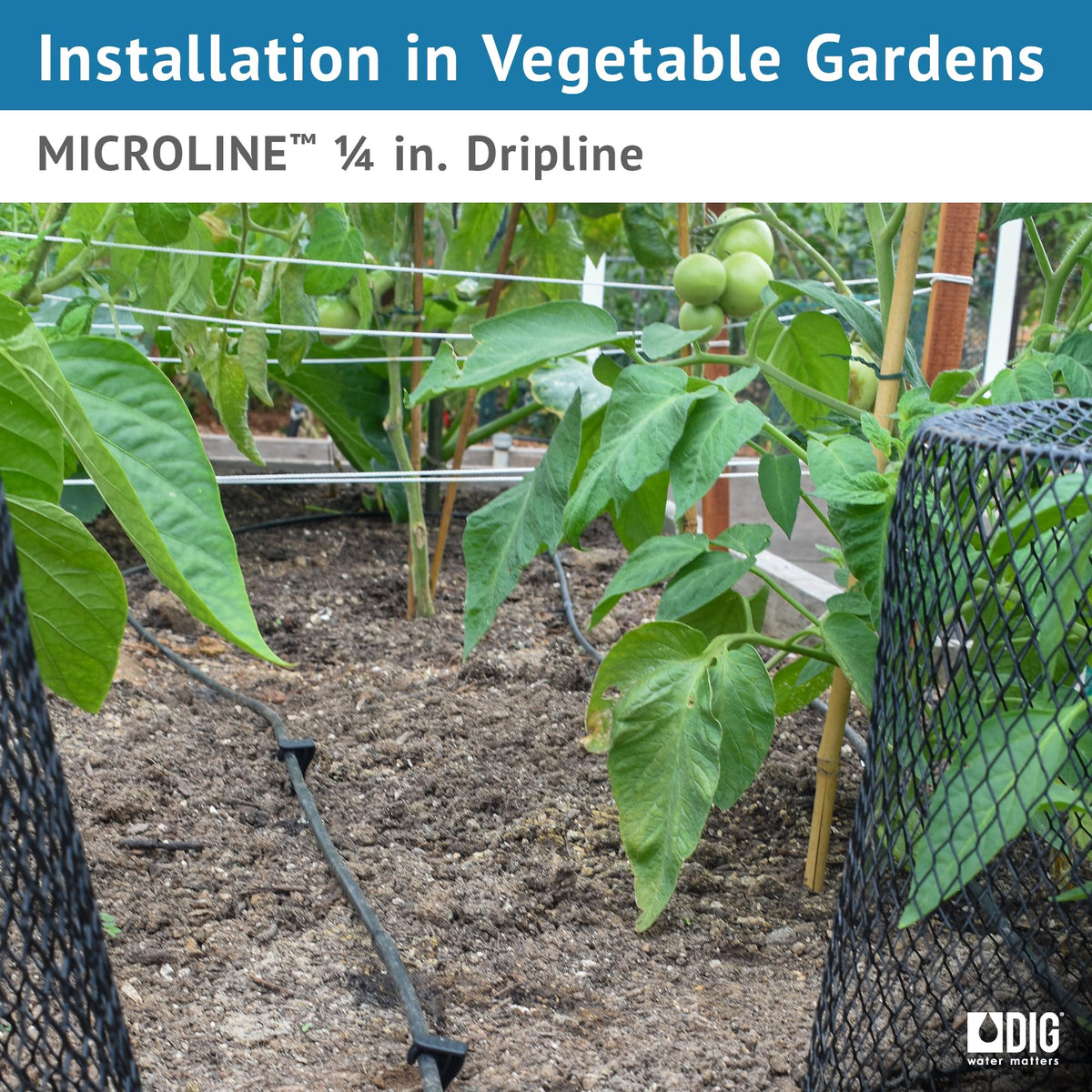 DIG ML-056, 50’, ¼” Microline™ Dripline - Enhanced 6” Emitter Spacing, UV-Resistant, Perfect for Diverse Garden Layouts (Black)
