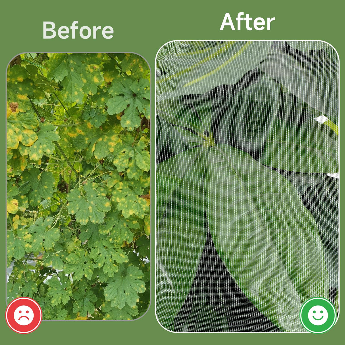 TMFsode 2 Pcs Fruit Tree Netting with Zipper and Drawstring, 8Ft x 8Ft Blueberry Bush Netting, Protective Garden Mesh Cover for Tomatoes, Fruit Tree, Flowers, Vegetables
