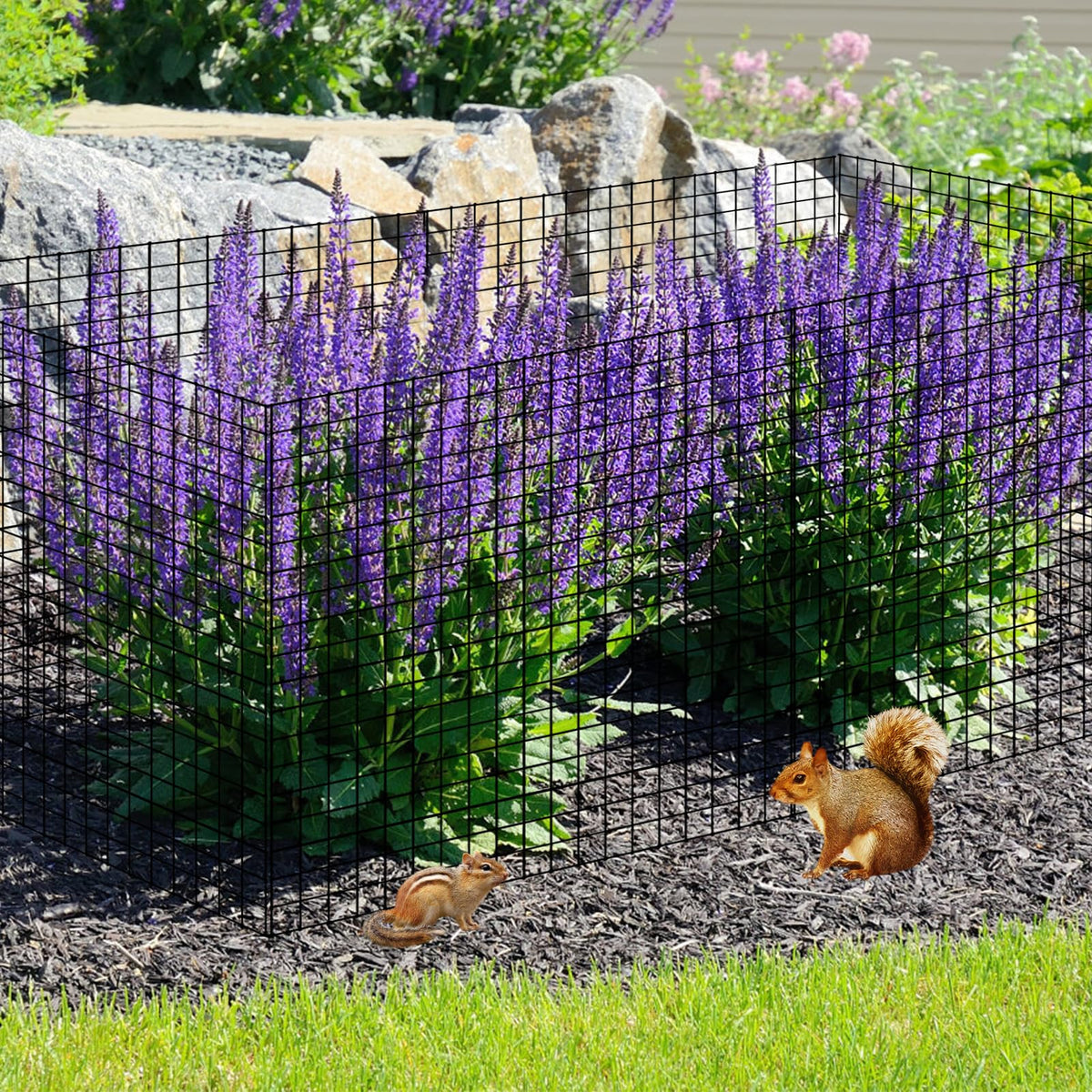 30 PCS Round Plant Protector from Animals, 12 Pack 12'' x 12'' Metal Plant Cages，30Pcs Metal Mesh to Keep Animals Out, Garden Protection Bunny Barricades, Wire Plant Protectors for Rabbit Chicken Duck