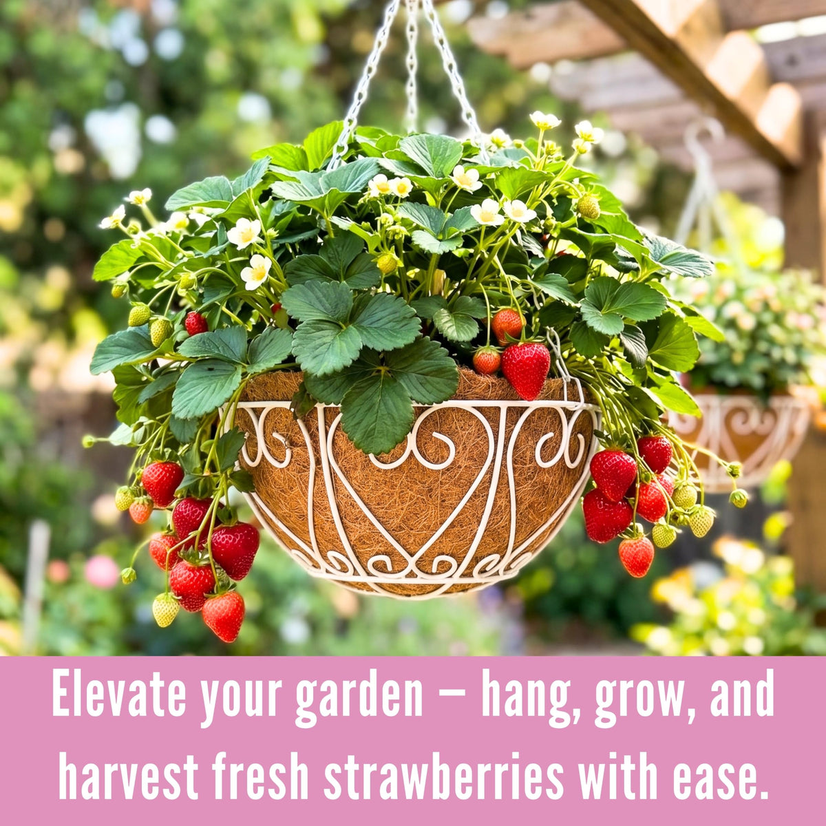 LaLaGreen Hanging Baskets for Plants (4 Pack, 16 Inch) Extra Large Hanging Flower Pot with Coco Liner White Metal Wire Round Plant Holder with Hanger Hook Chain Outdoor Patio Deck Balcony Garden Decor