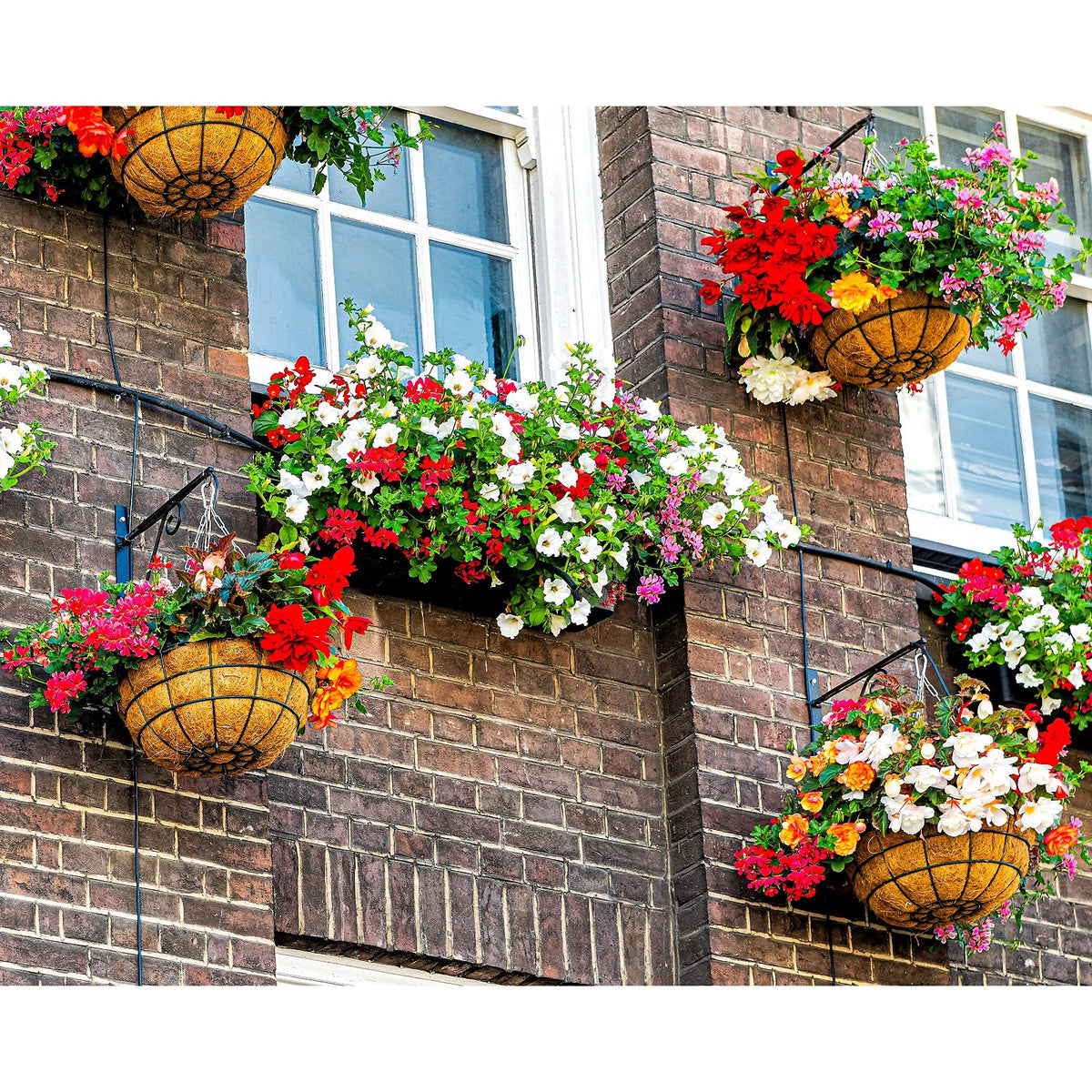TigeJoy Coco Coir Liners for Hanging Baskets 12inch 3PCS, 100% Natural Coco Fiber Planter Insert, Round Thick Coconut Liners for Garden Plants Flower Vegetable Pot Flowerpot Replacement Liner