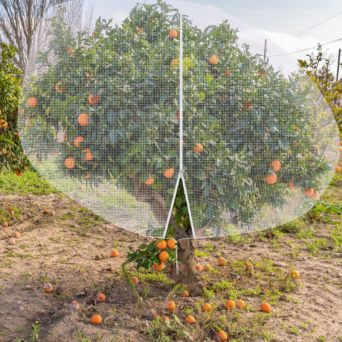 Vincreem 12 x 12 ft Large Fruit Tree Netting for Protecting Fruit from Squirrels Birds Bug Deer & Rat Garden Mesh Netting with Zipper and Drawstring Heavy Duty Tree Covers for Garden Bushes