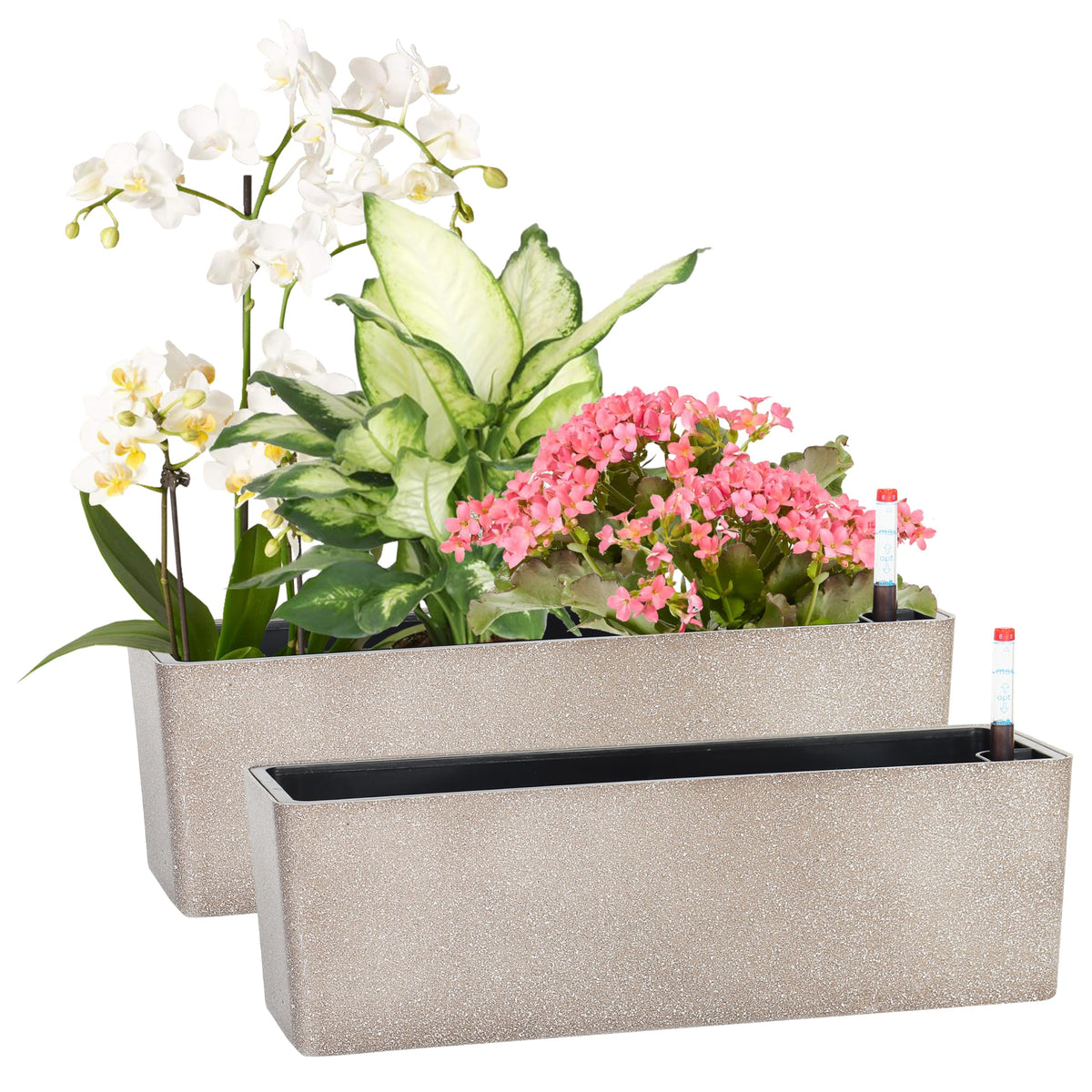 GardenBasix Elongated Self Watering Planter Pots 2-Pack Window Box 5.5 x 16 inch Indoor Home Garden Modern Decorative Pot for All House Plants Flowers Herbs (Coffee,2)