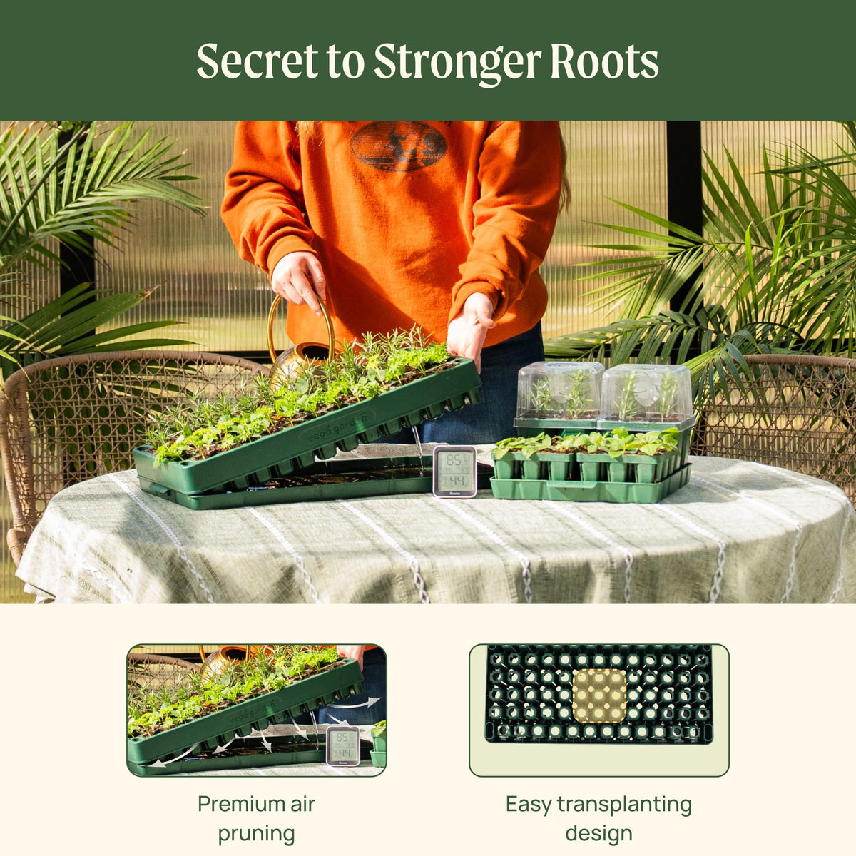 Vego garden 2 Set 76 Cells Seed Starter 10" x 20" Tray Stackable Seedling Starting Germination Trays for Plants Planting Vegetables Herbs Flowers,