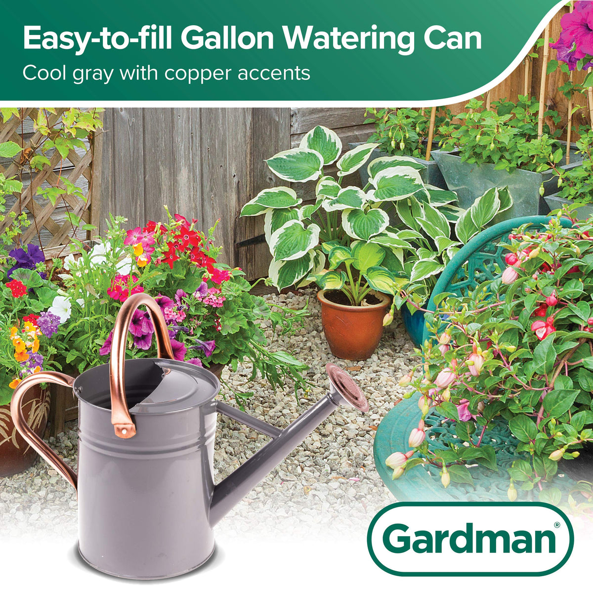 Gardman R34884 1 Gallon Watering Can, Cool Gray