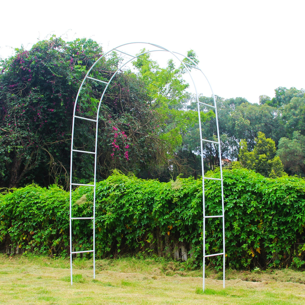 7.9 Ft H x 4.6 Ft W White Metal Pergola Arbor for Various Climbing Plant Wedding Garden Arch Bridal Party Decoration Wide Arbor