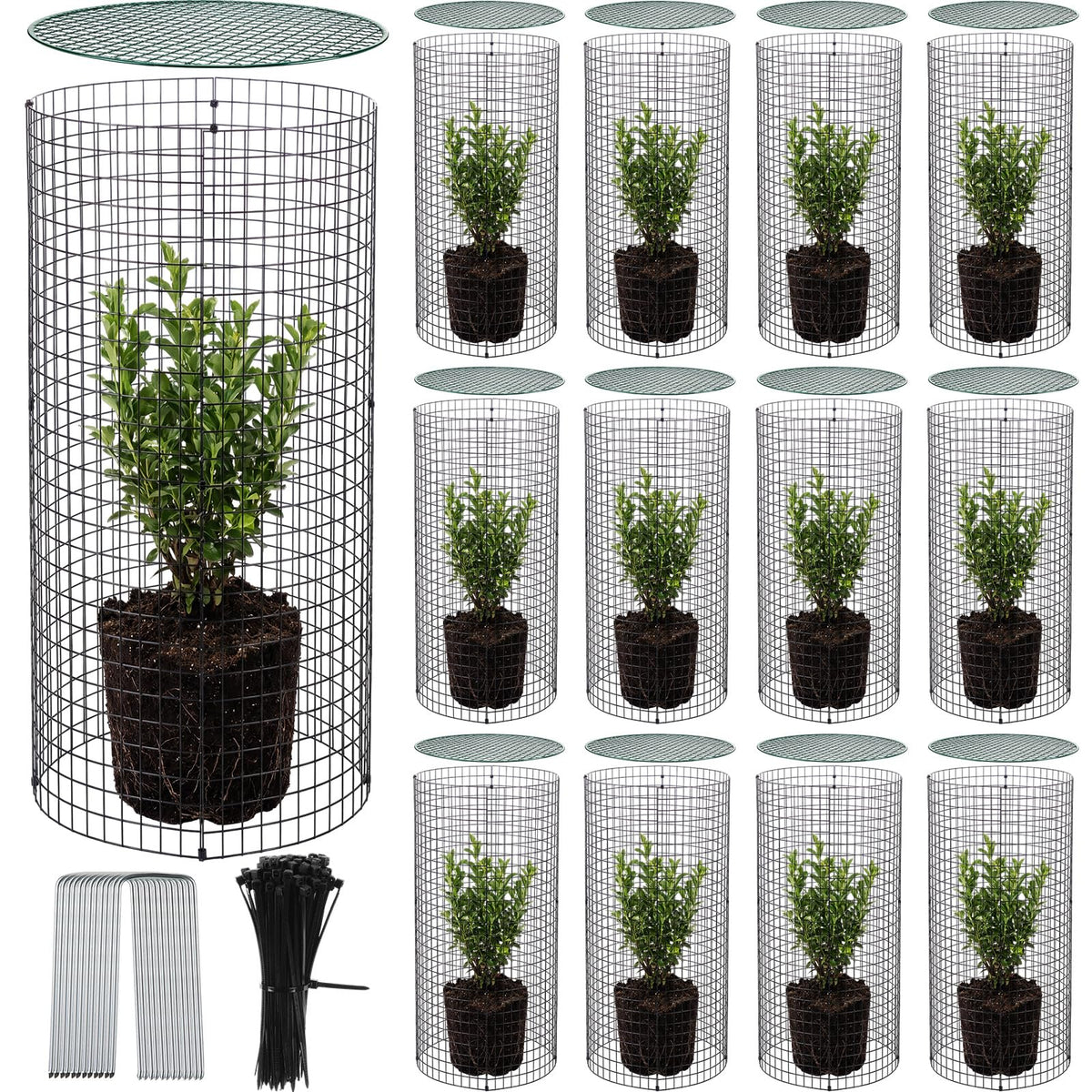 Otoolling 12 Pack 24" x 12" Garden Plant Protectors from Animals with Detachable Covers Metal Plant Cage Chicken Wire Cloche with Ground Stakes and Nylon Tie for Flower Vegetable to Keep Animals Out