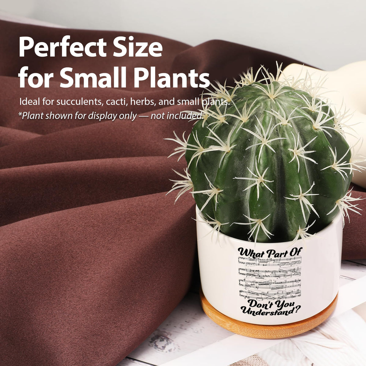 What Part of Don’t You Understand Music Teacher Musicians Gifts Ceramic Succulent Plant Pot with Bamboo Tray Round Pianist Choir Director Sheet Music Home Decor Plant Lover 3.5 Inch White (No Plants)