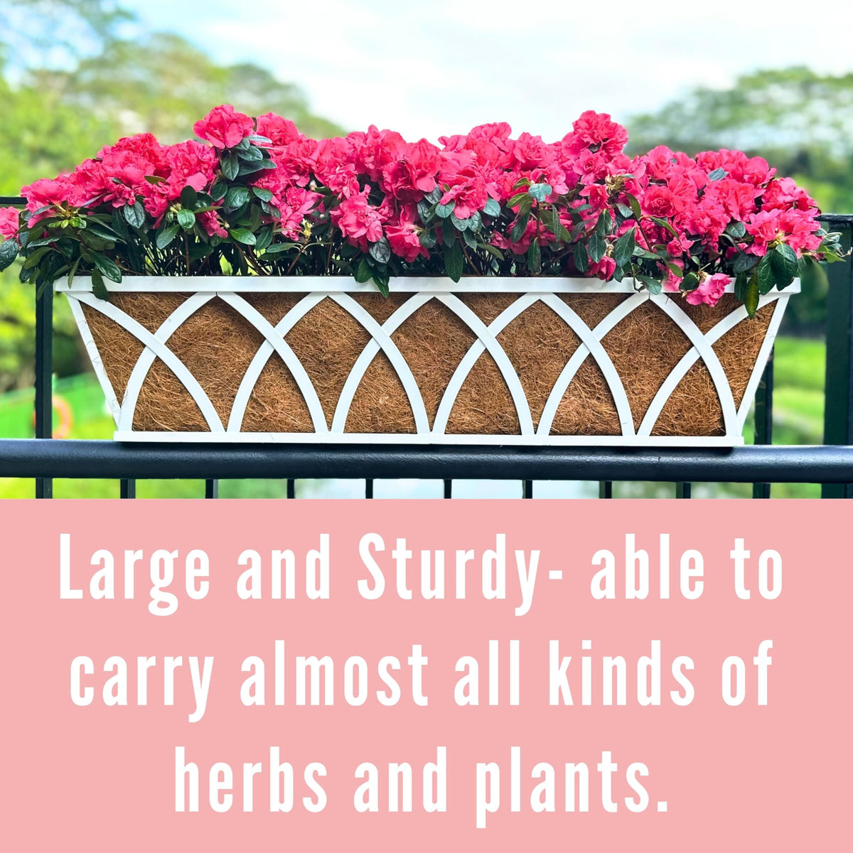 LalaGreen Bundle-2 Pack,24 Inch White Rectangular + 2 Pack,16 Inch White Metal Hanging Planter with Coco Liner, Window Deck Fence Rail Flower Pots,Farmhouse Wall Mount Balcony Porch Outdoor Basket Box