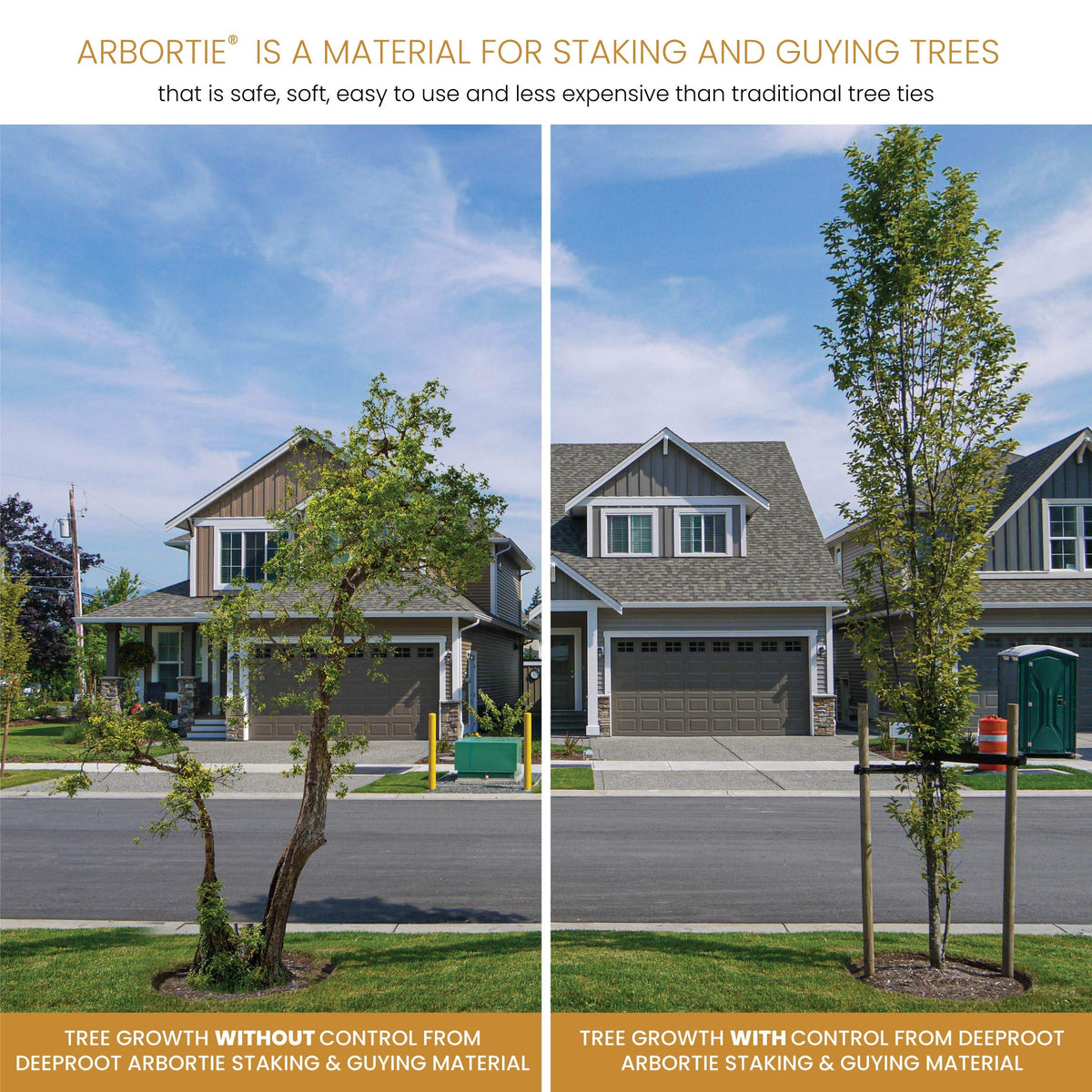 DeepRoot ArborTie Tree Straps for Staking and Guying, Flexible Tree Support Straps, Versatile Tree Rope, Tree Ties For Street Trees, Orchards, and Landscape Trees, 250’ Roll, Olive (AT 2G)