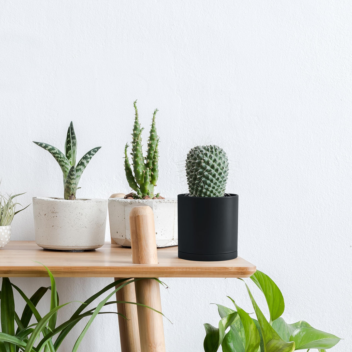 D'vine Dev 4 Pack 4 Inch Modern Plastic Plant Pots, Small Garden Planters for Plant with Drainage Holes and Saucers, Black Color, 74-Y-E-2